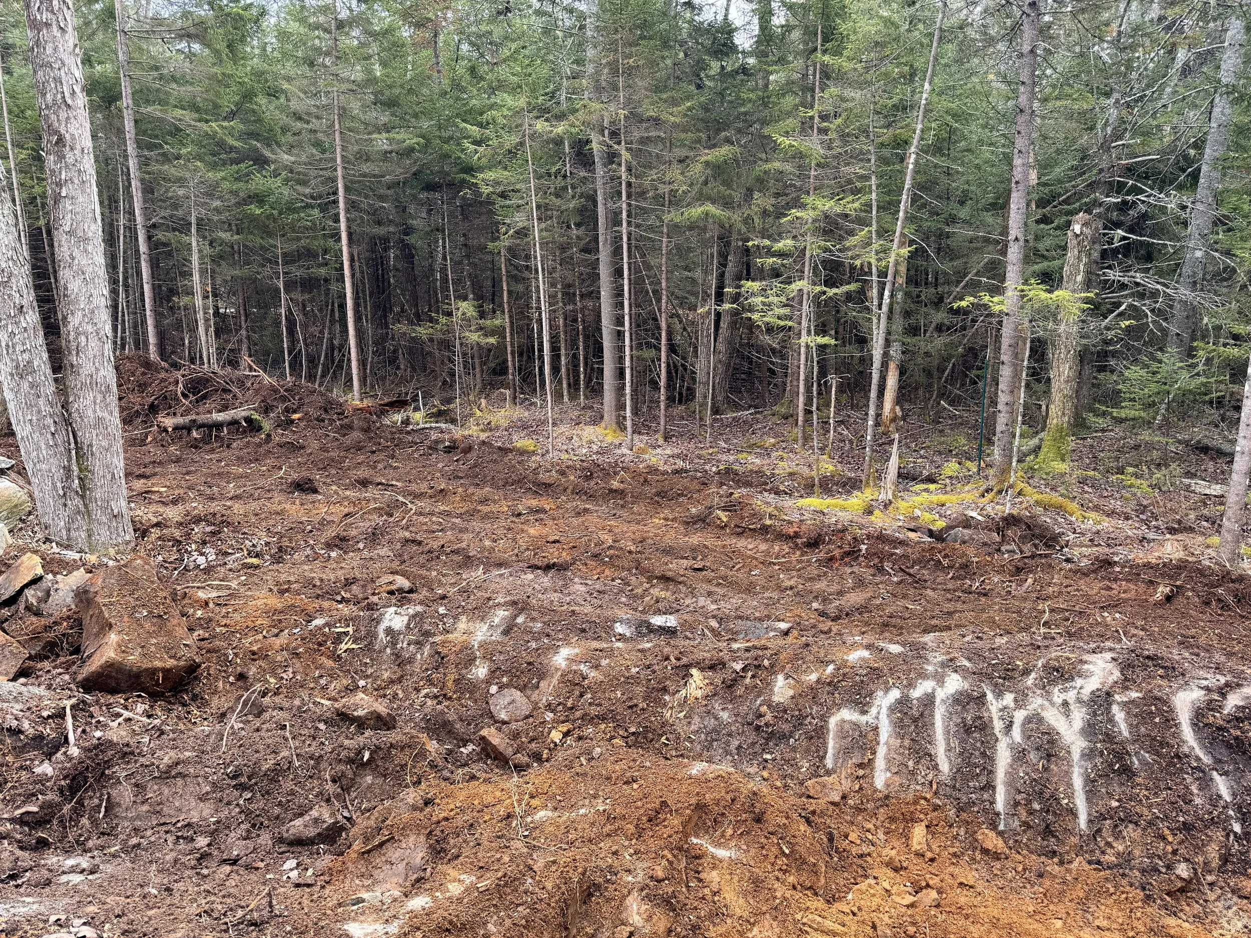 Thunder Mist Excavation