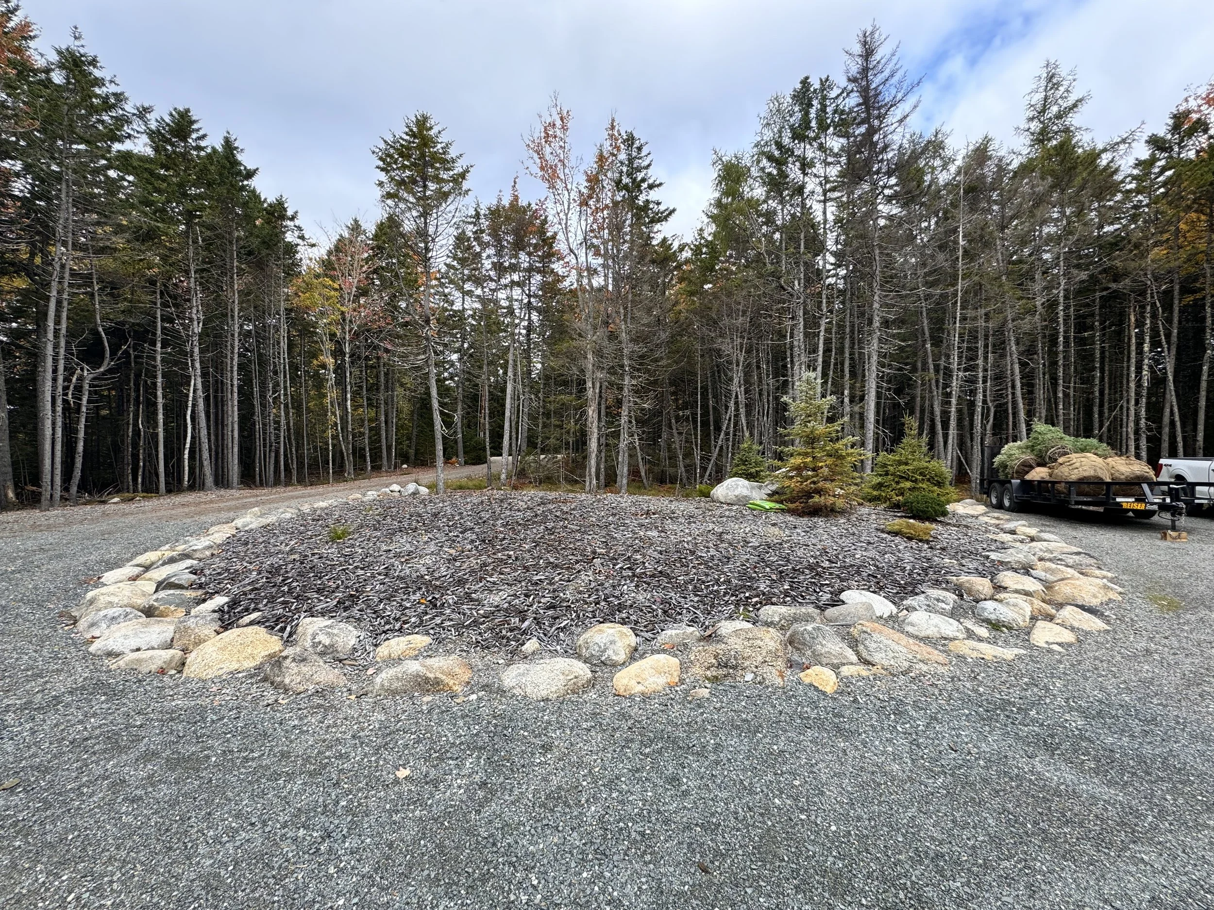 Coggins Farm Tree Before