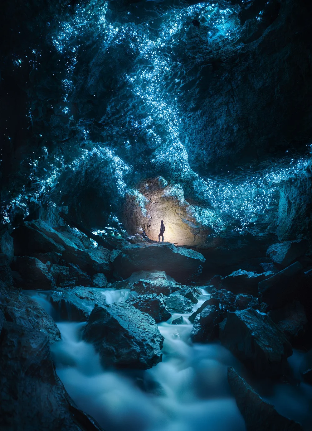 Tom Rae Wallpapers Glow Worms — Tom Rae Photography
