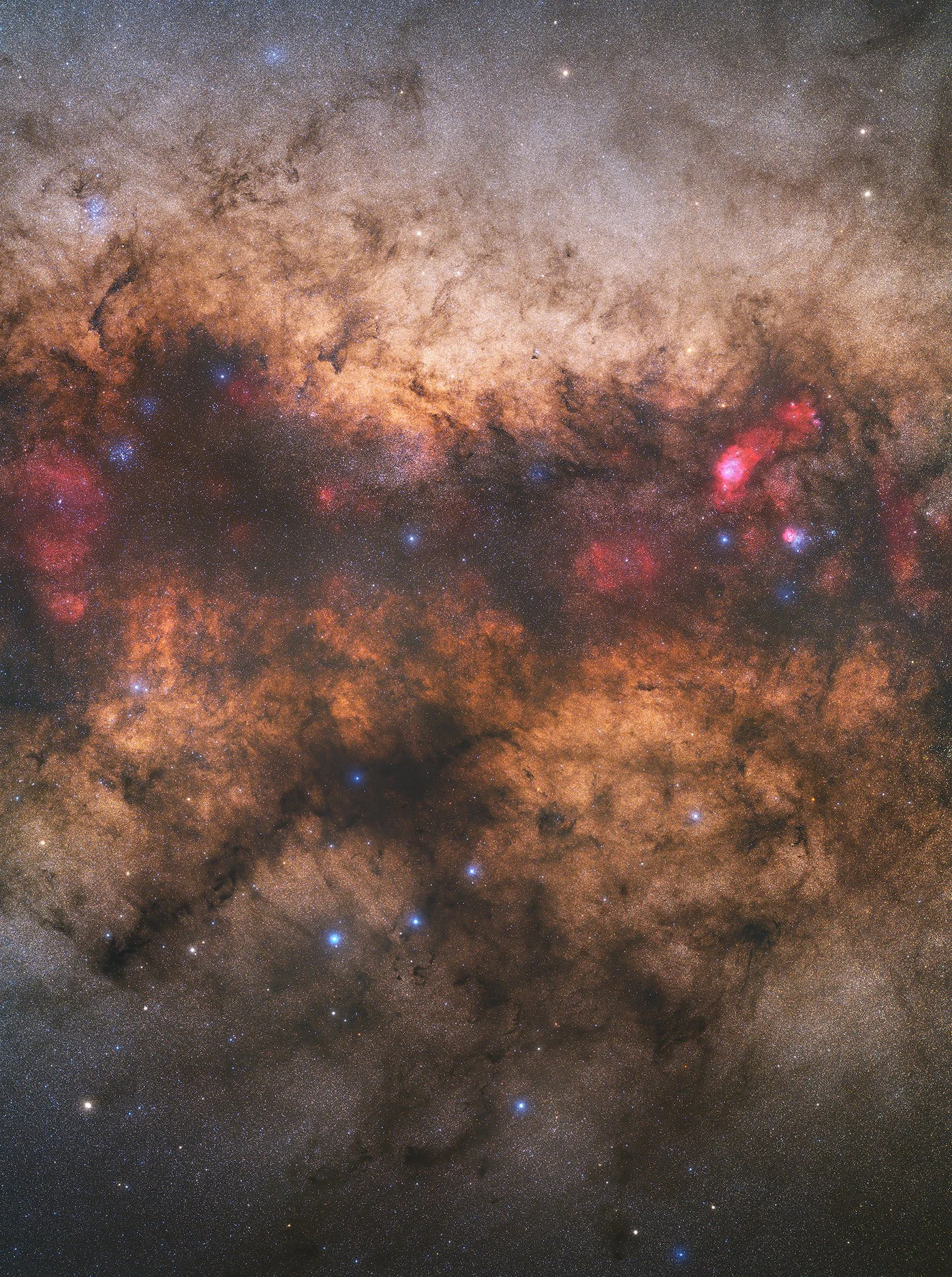 Galactic Kiwi 2048px.jpg
