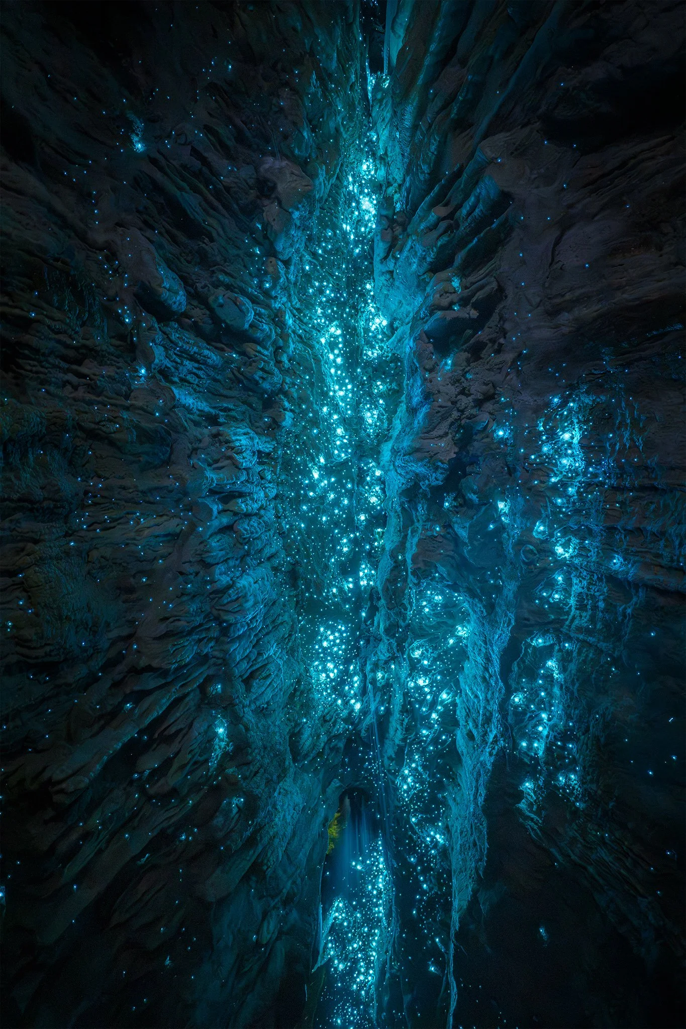 CONSTELLATION 2048px.jpg