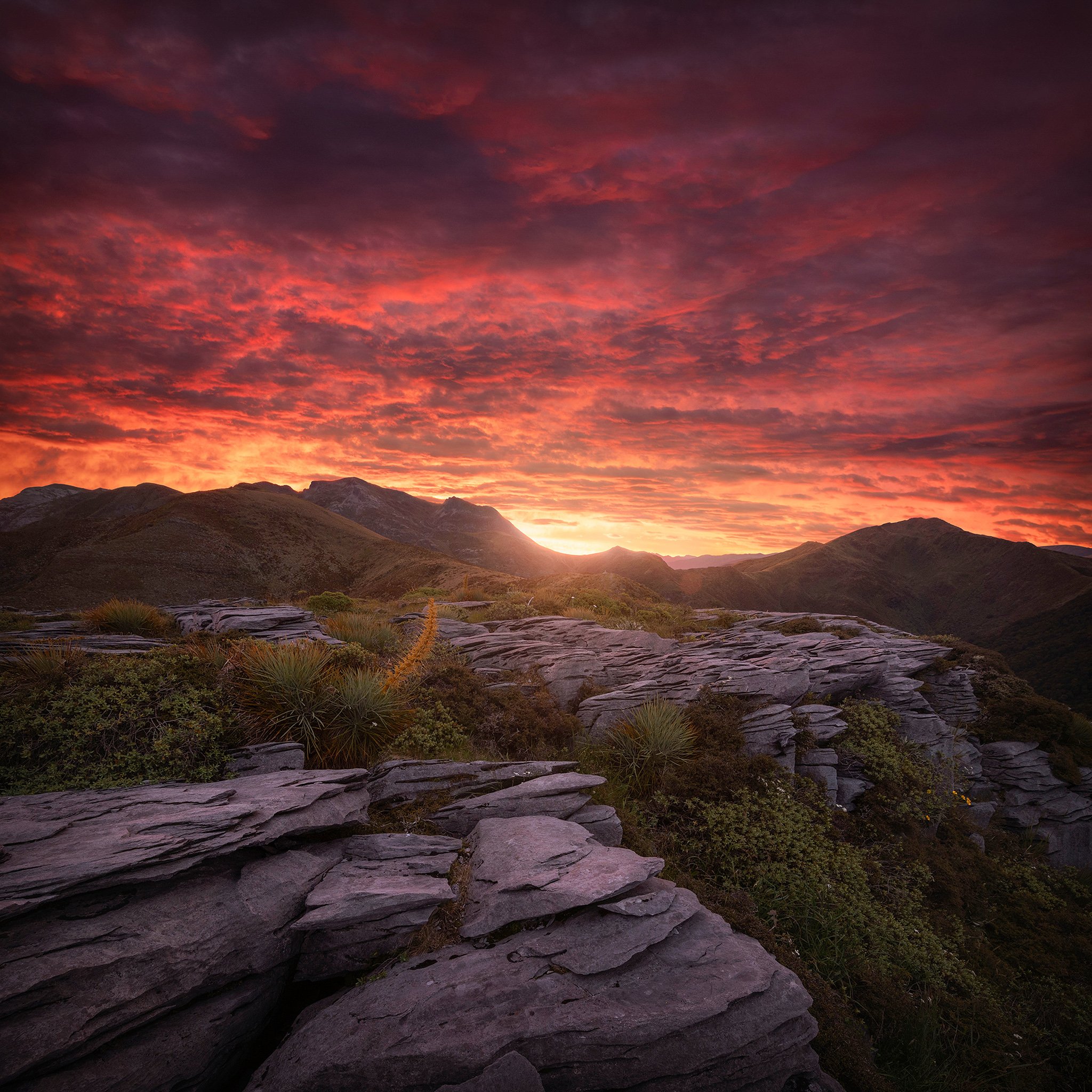 Mt Arthur 2048px.jpg