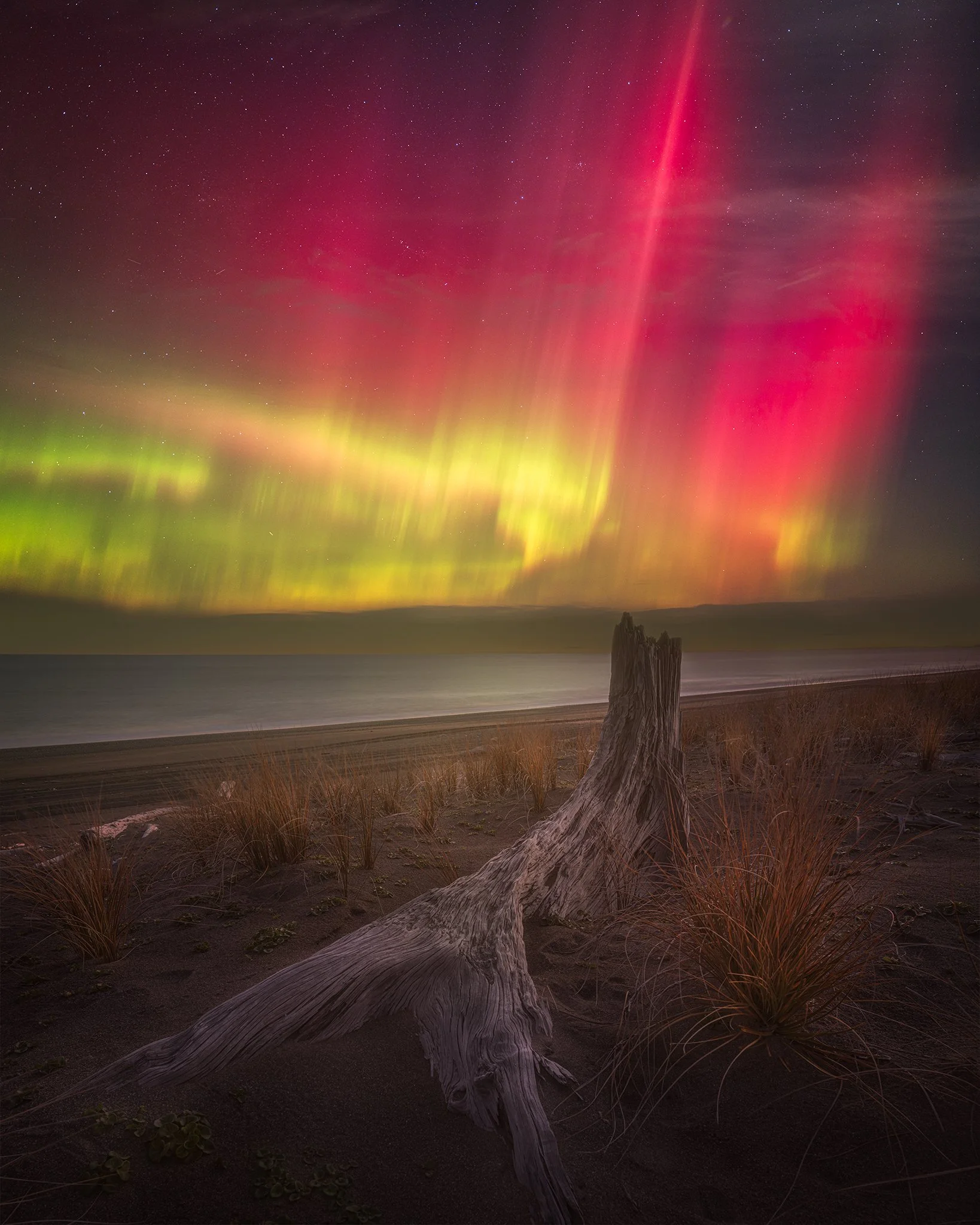 Aurora 2048px Website.jpg