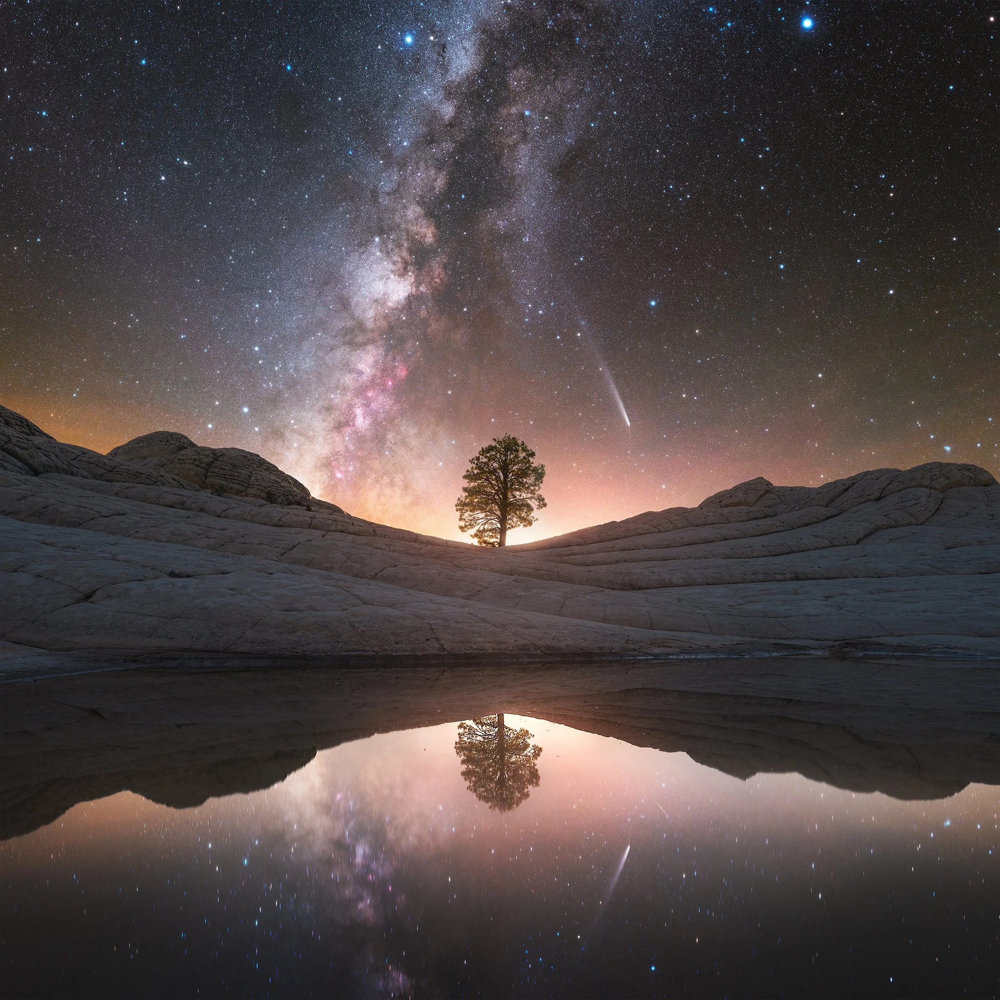 Lone Pine 2048px.jpg