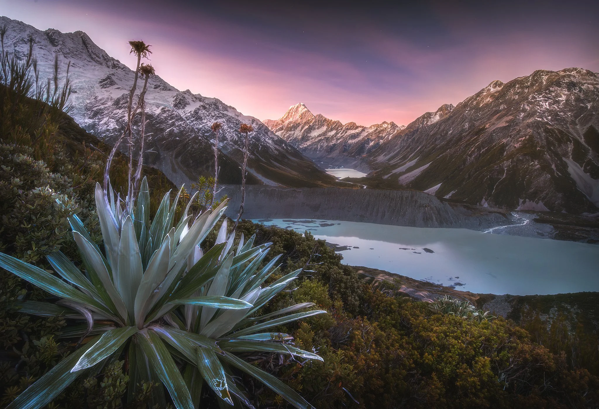 Flax 2048px copy.jpg