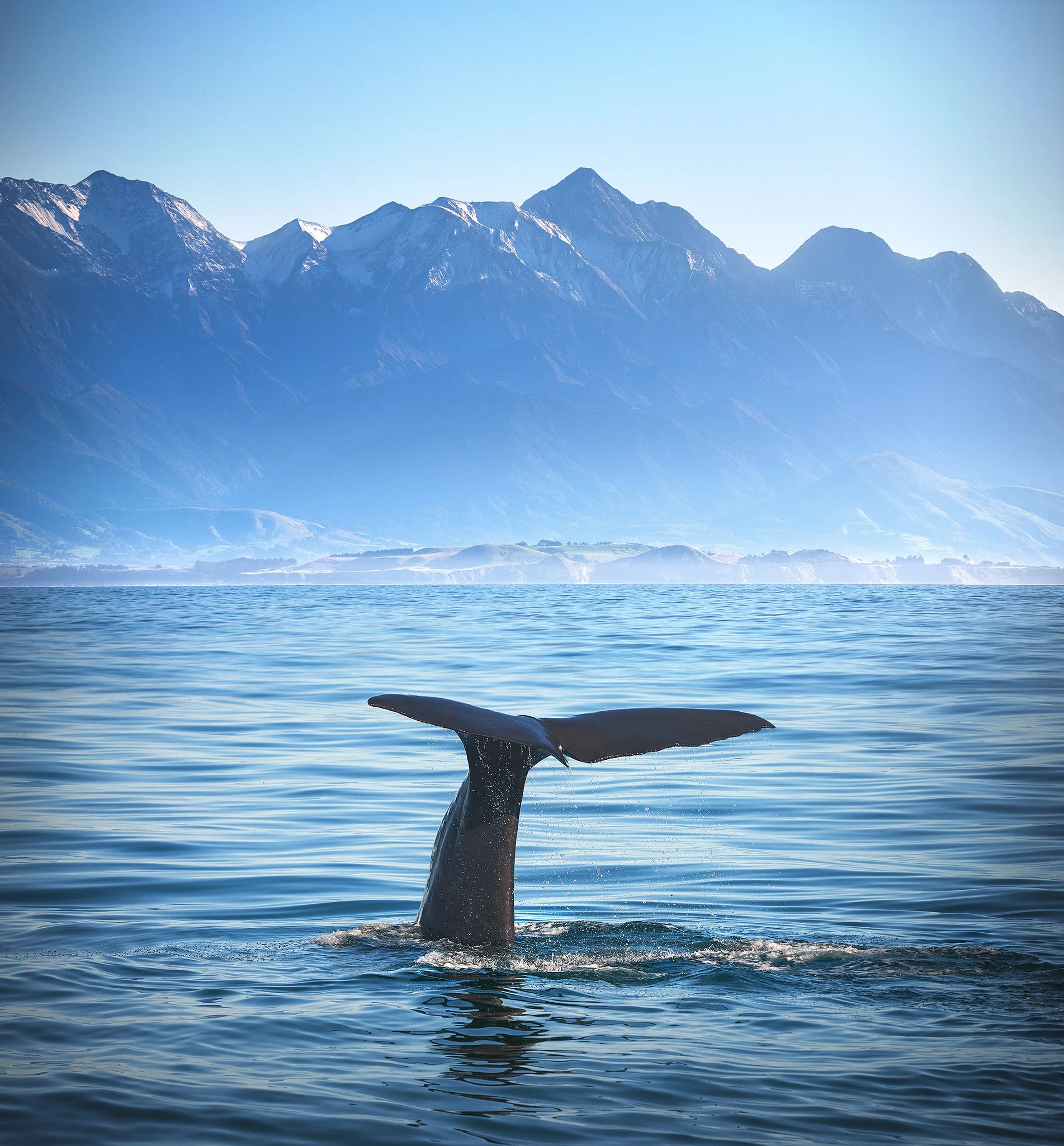 Kaikoura 2048px.jpg