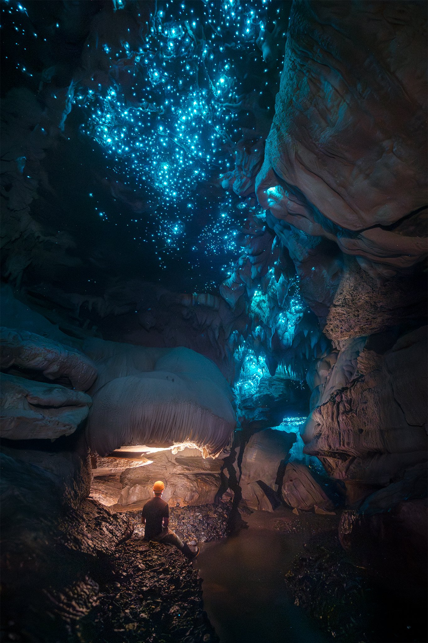 GLOWING MUSHROOM 2048px.jpg