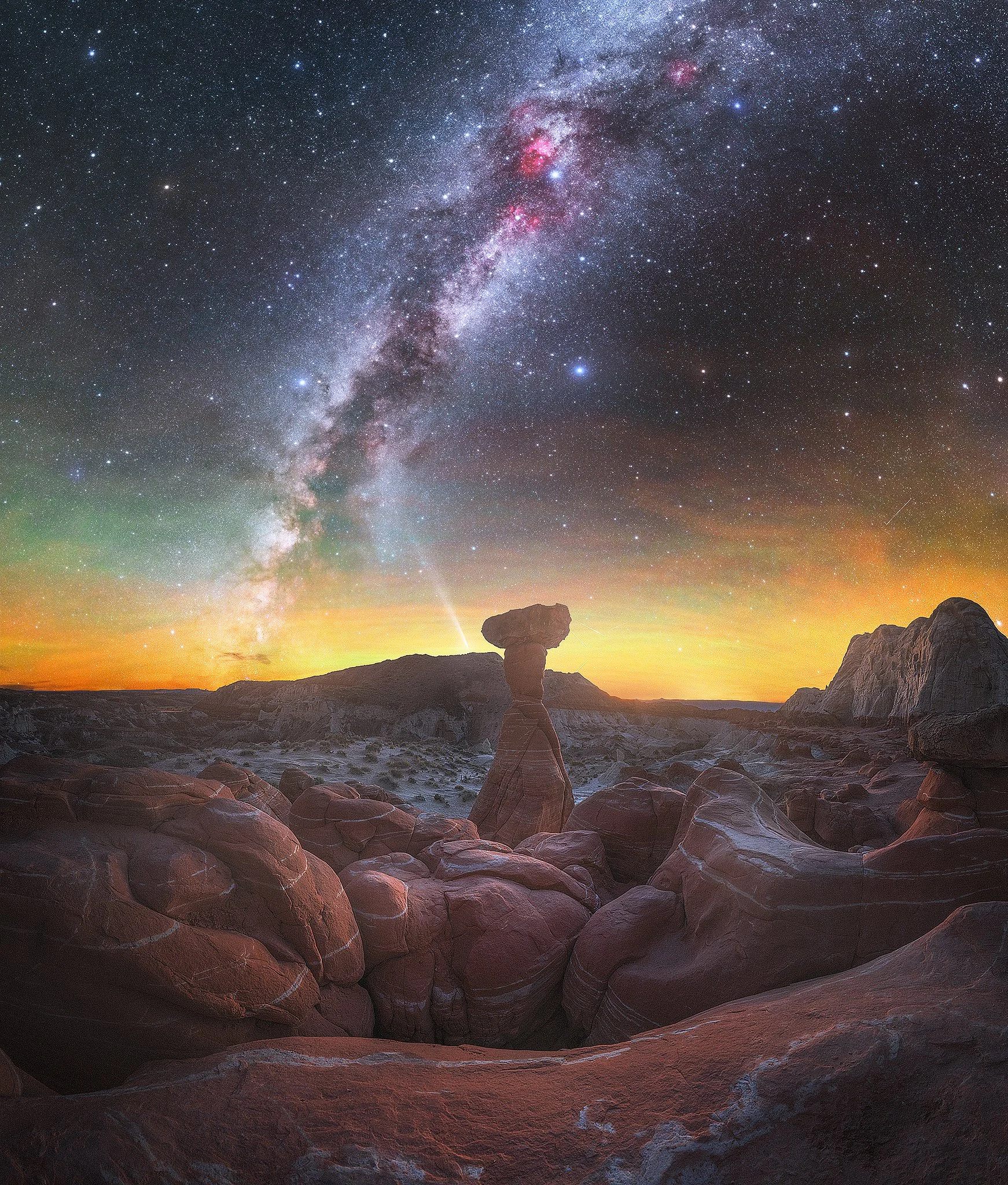 Toadstools 2048px.jpg