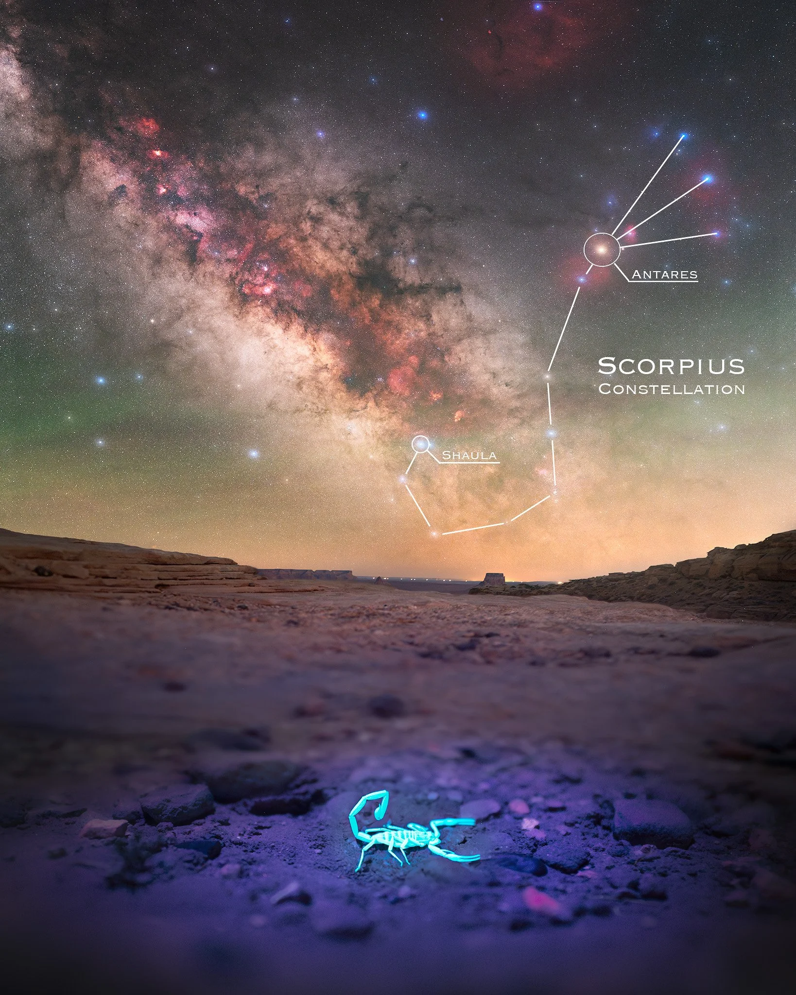 Scorpius Annotated 4x5 2048px.jpg