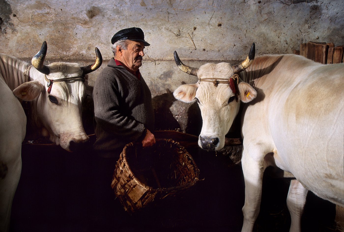 Traditional Tuscan Farmers
