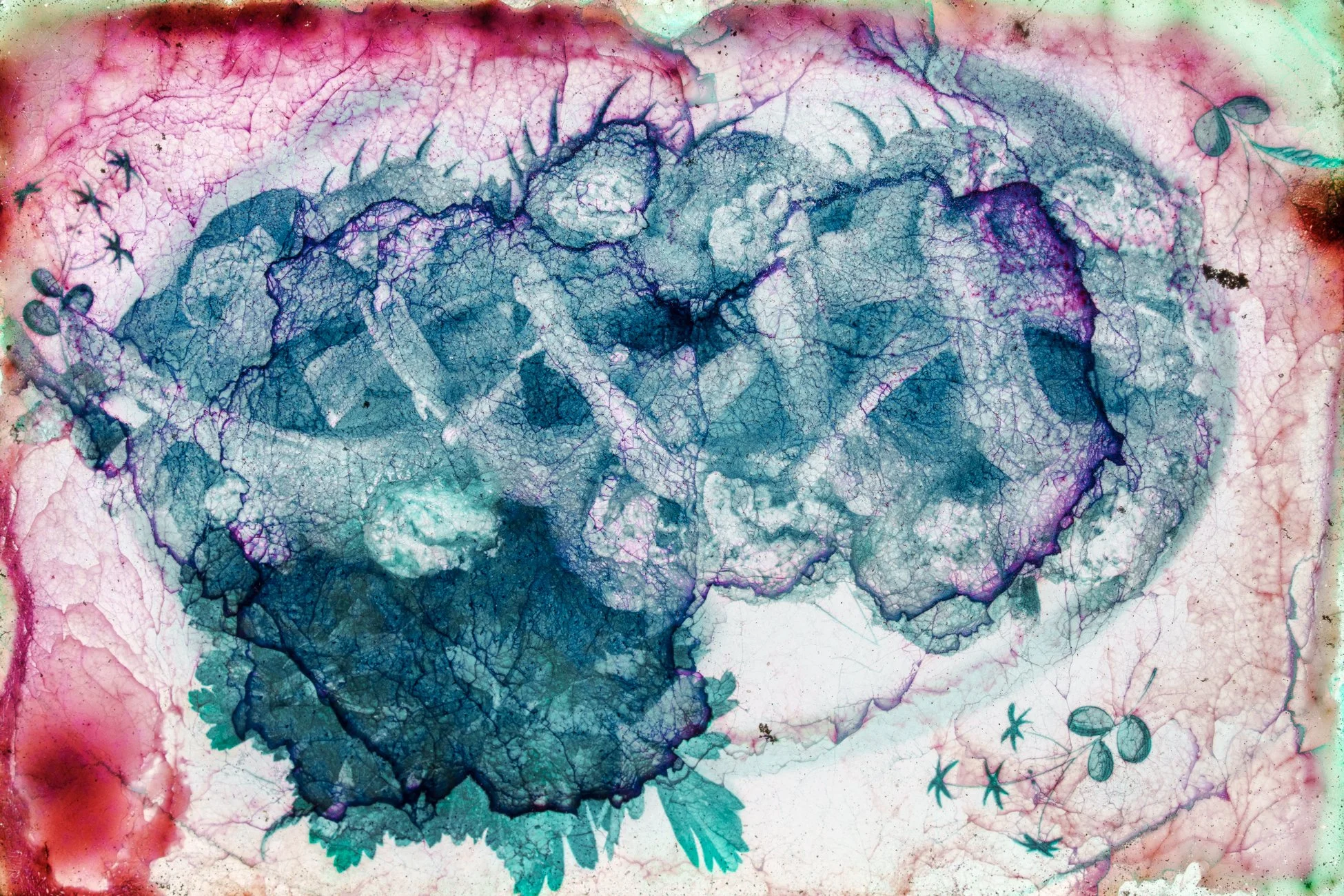 © Susan Lapides_2025_106_009.jpg