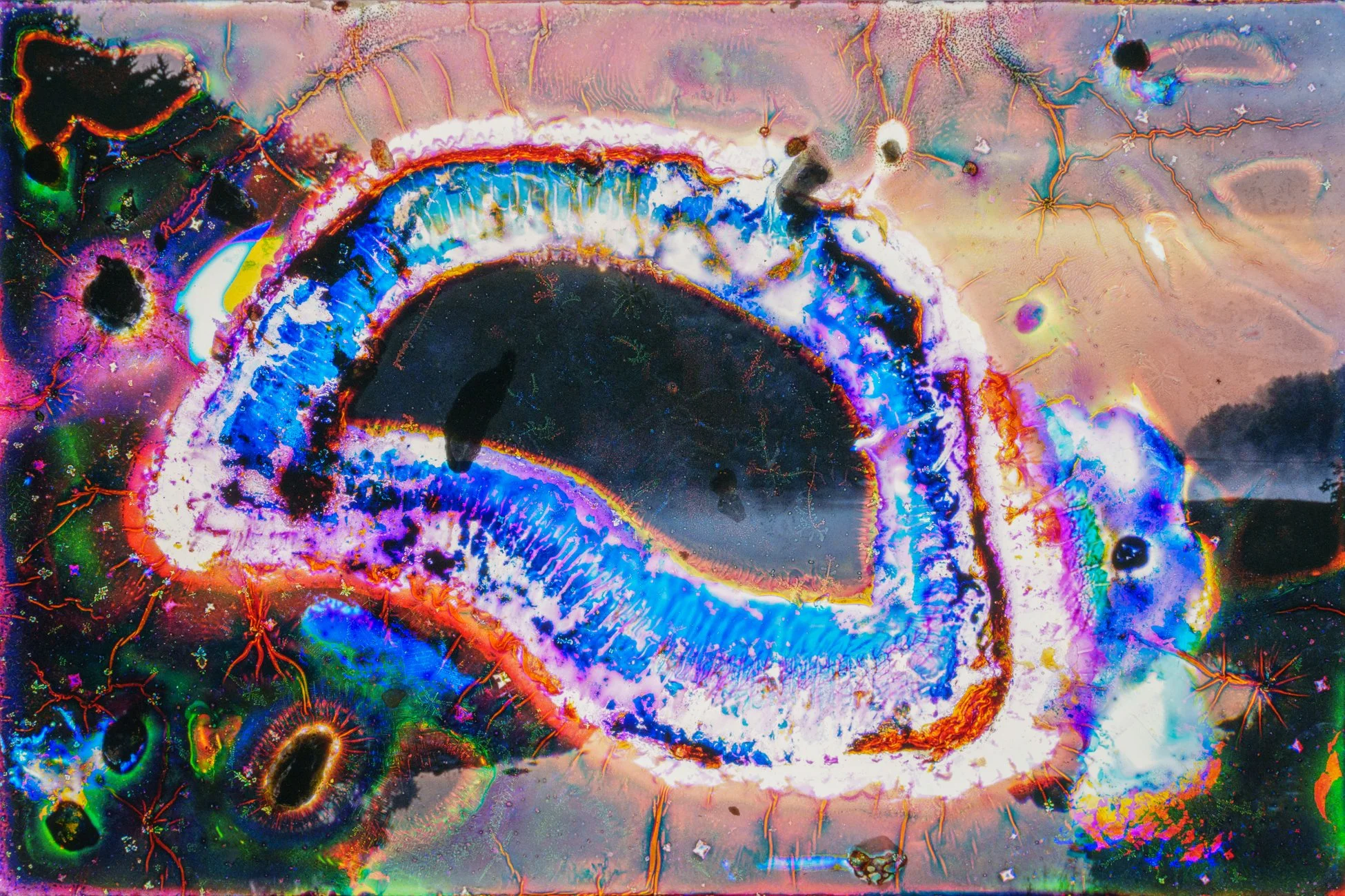 © Susan Lapides_2025_274_353.jpg