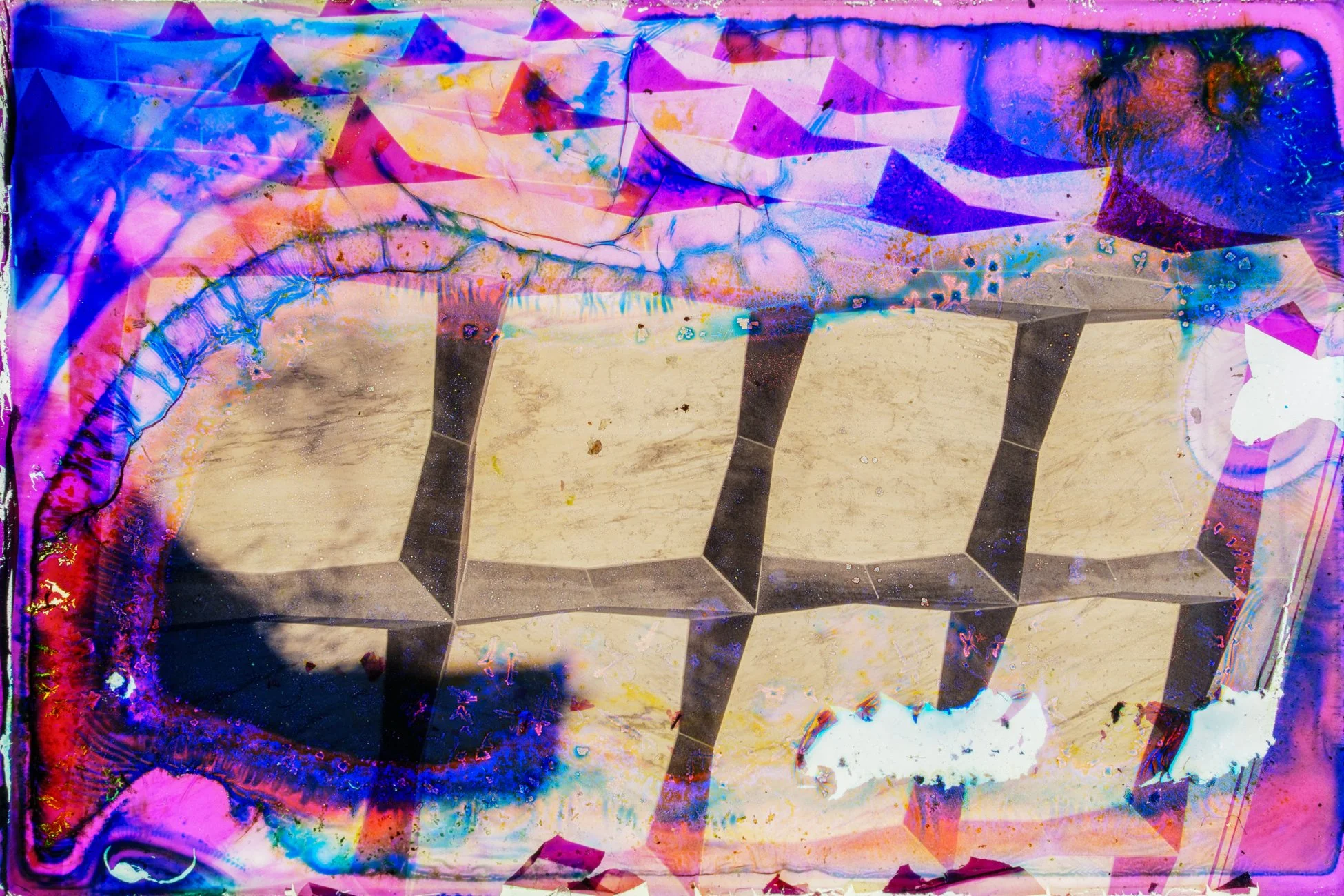 © Susan Lapides_2025_566_019.jpg