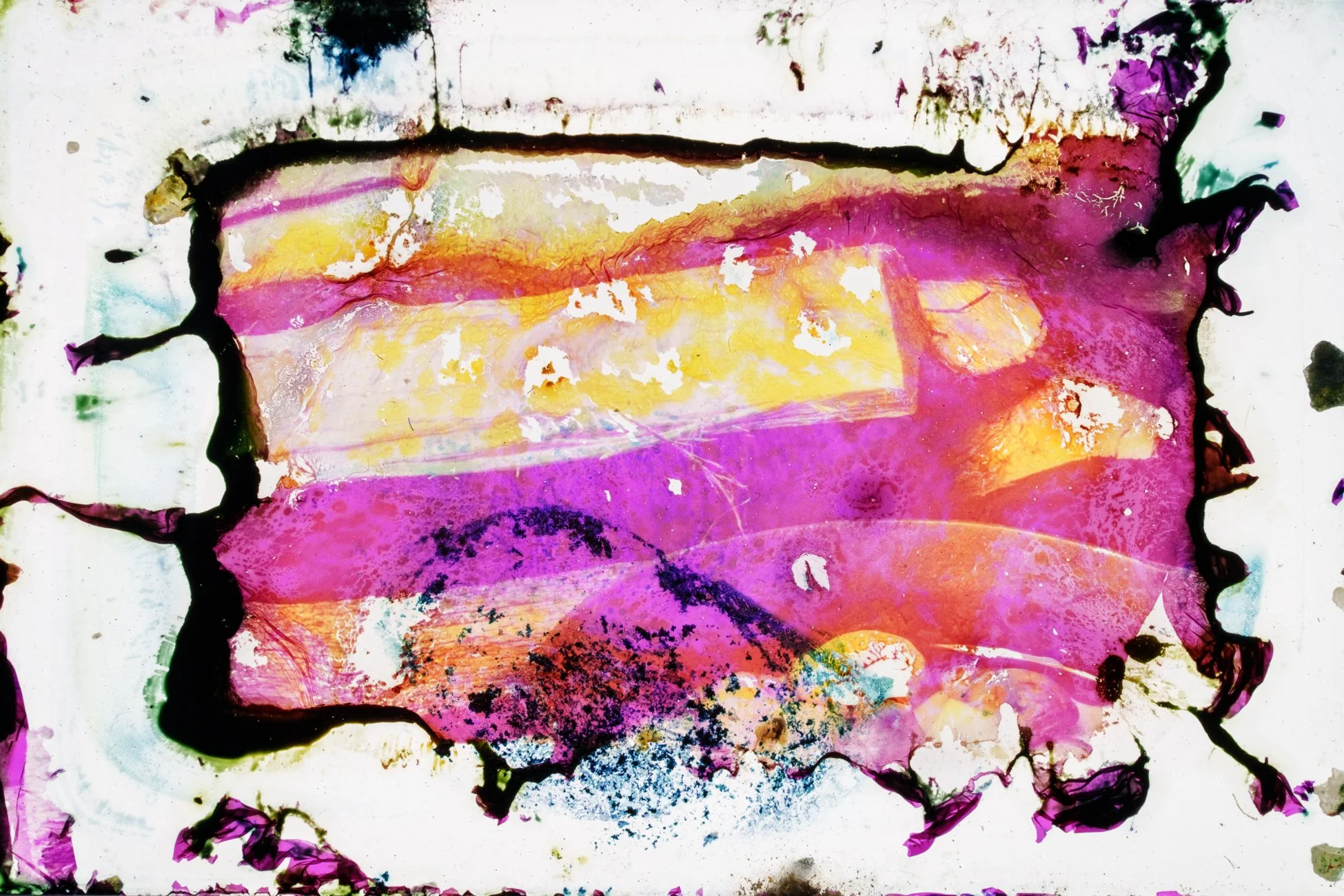 © Susan Lapides_2025_112_001.jpg