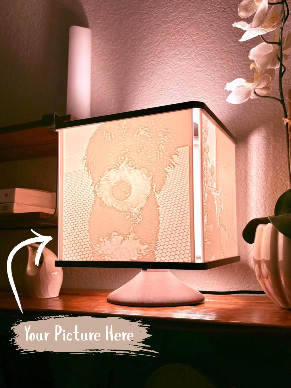Your+Picture+Here+MemoriLite.png