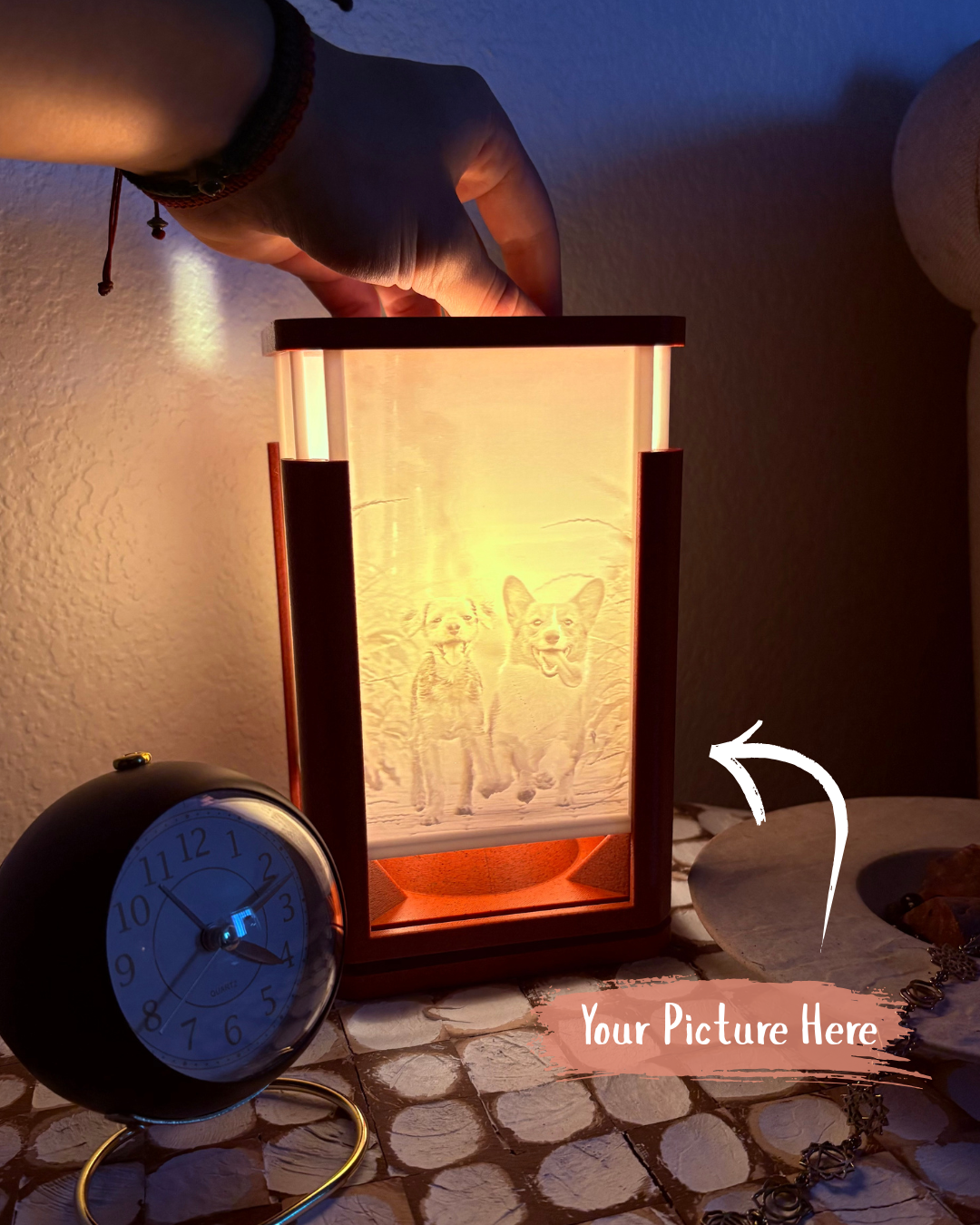 Your Picture Here TourreMini Dog Lamp.png