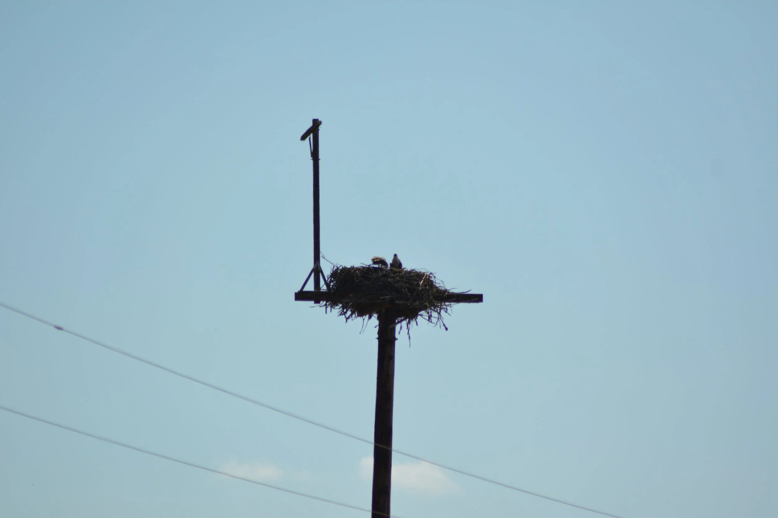DSC_0045.jpeg