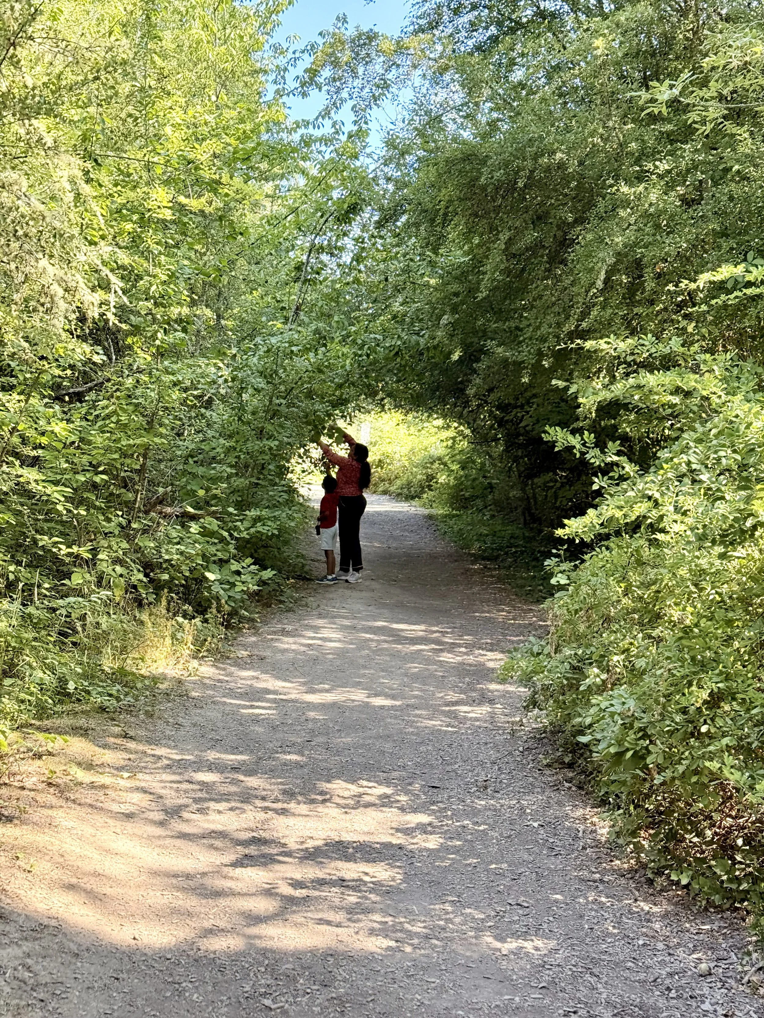 Discovering New Birds at Orchard Heights Park in West Salem