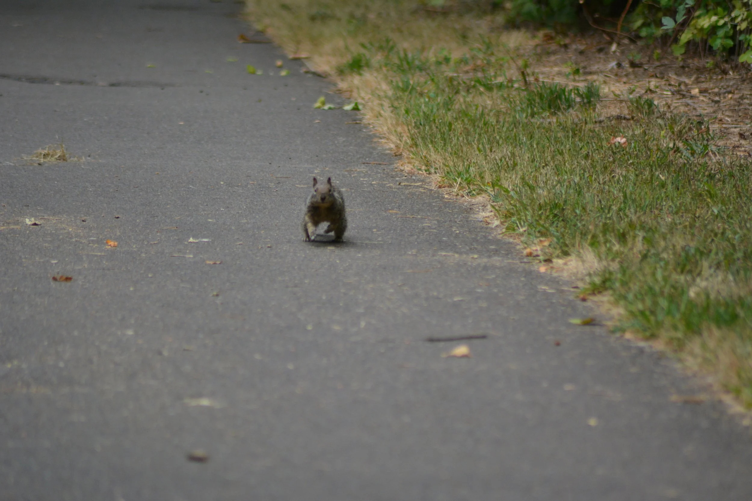DSC_0012 2.jpeg