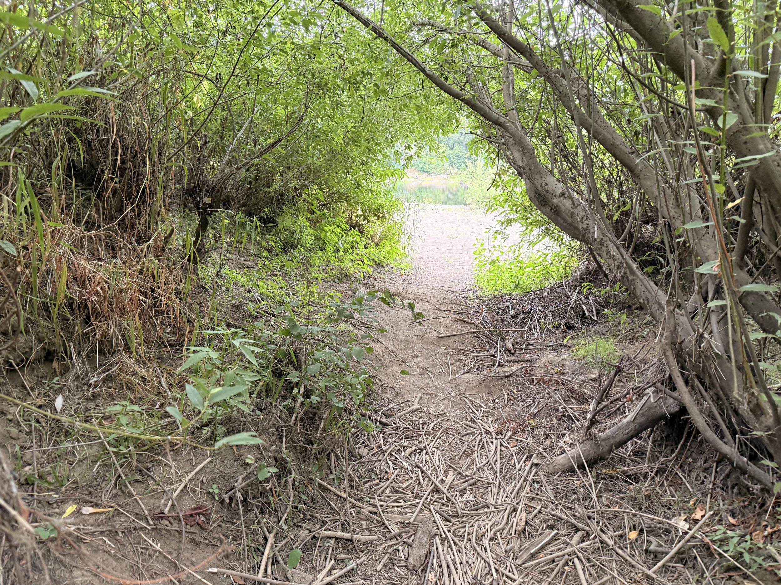 Exploring Willamette Mission State Park - Gervais OR.