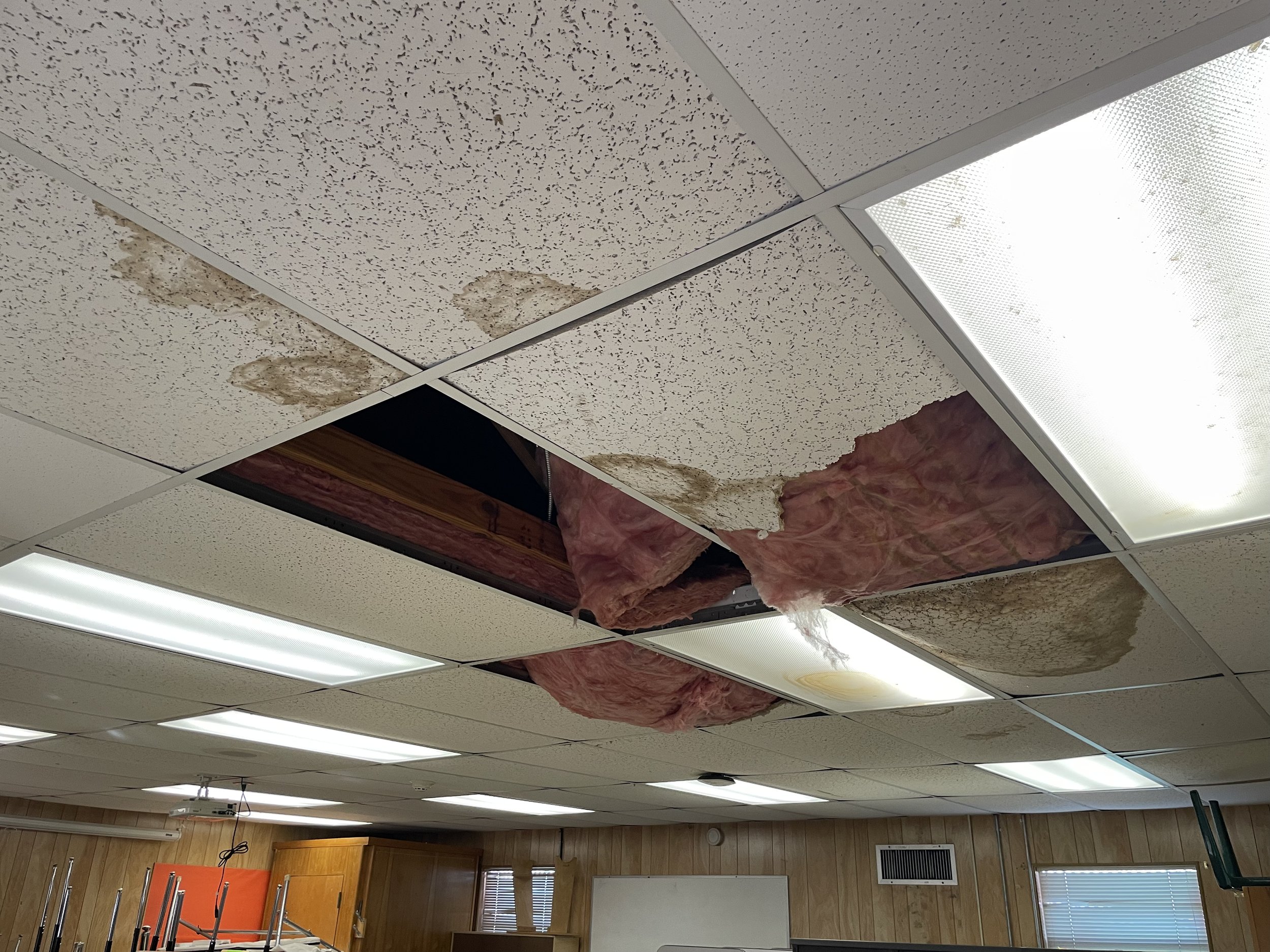 2026-01-18 15.03.19.jpg