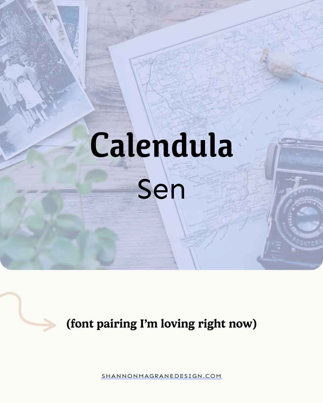 I'm excited to start sharing some of my favorite fonts, so you don't have to scroll through Google Fonts for hours like me. 

This combo, Calendula and Sen, is both nostalgic and fresh. I love the playful curves that Calendula brings, while Sen balan