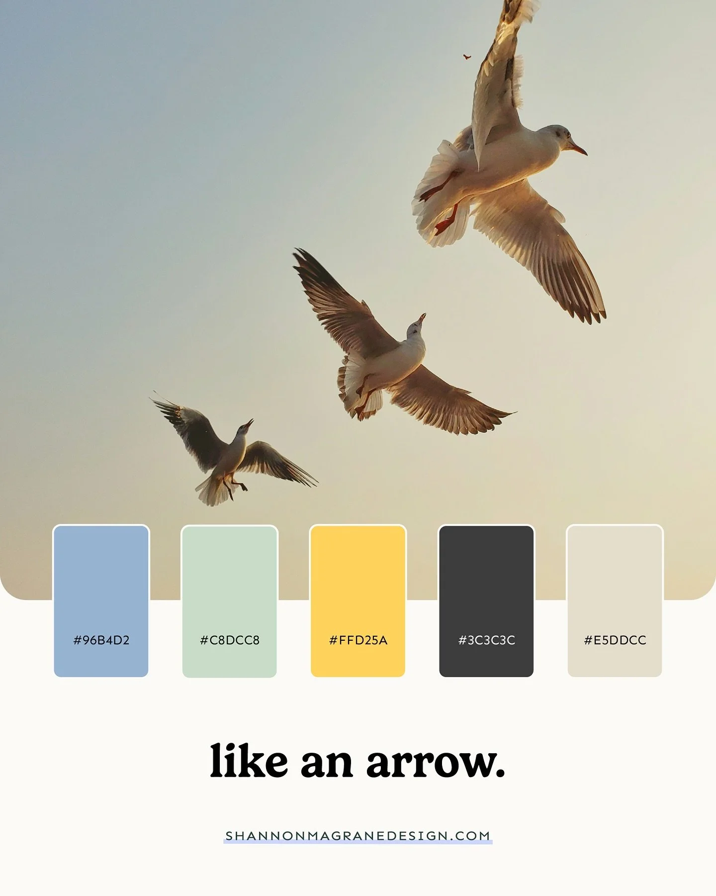 Goin into the weekend with this palette on my mind &mdash; soft hues, subtle gradients, space to breathe. It&rsquo;s perfect for the presentation I am working on with a local fiction author &mdash; &ldquo;On writing to witness the world.&rdquo; 

Sav