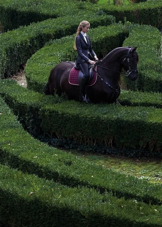 A woman riding a black horse through a manicured hedge maze.