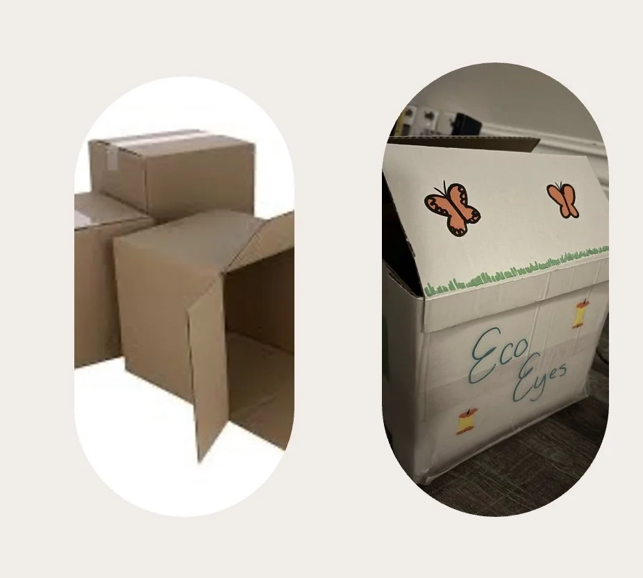 Project Overview → Introducing EcoEye 2.0