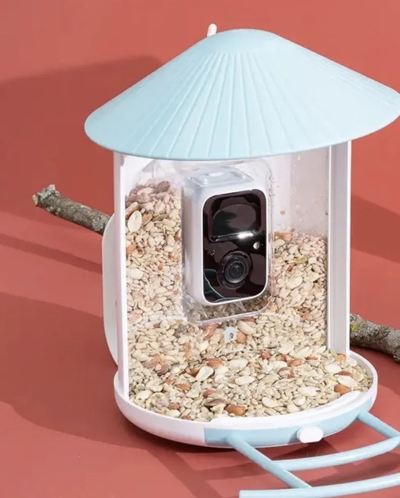 Conclusion → Final Insights and Future Growth