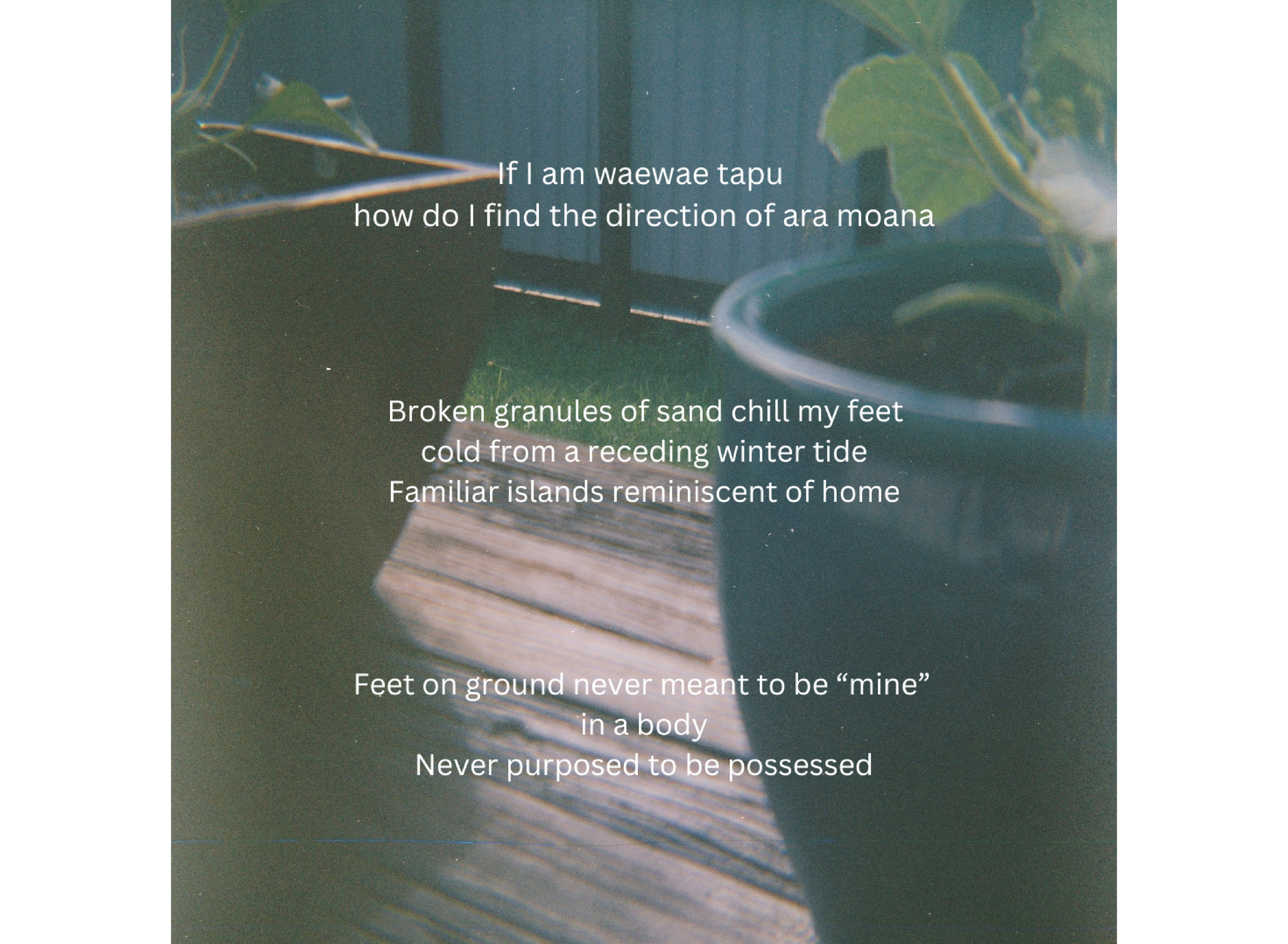 Moana Murray - Untitled.png