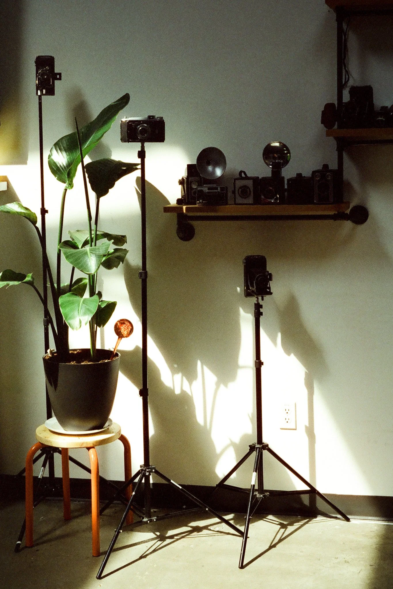 Cuthbert, Jack 1711-13_00001711_000017110031.jpg