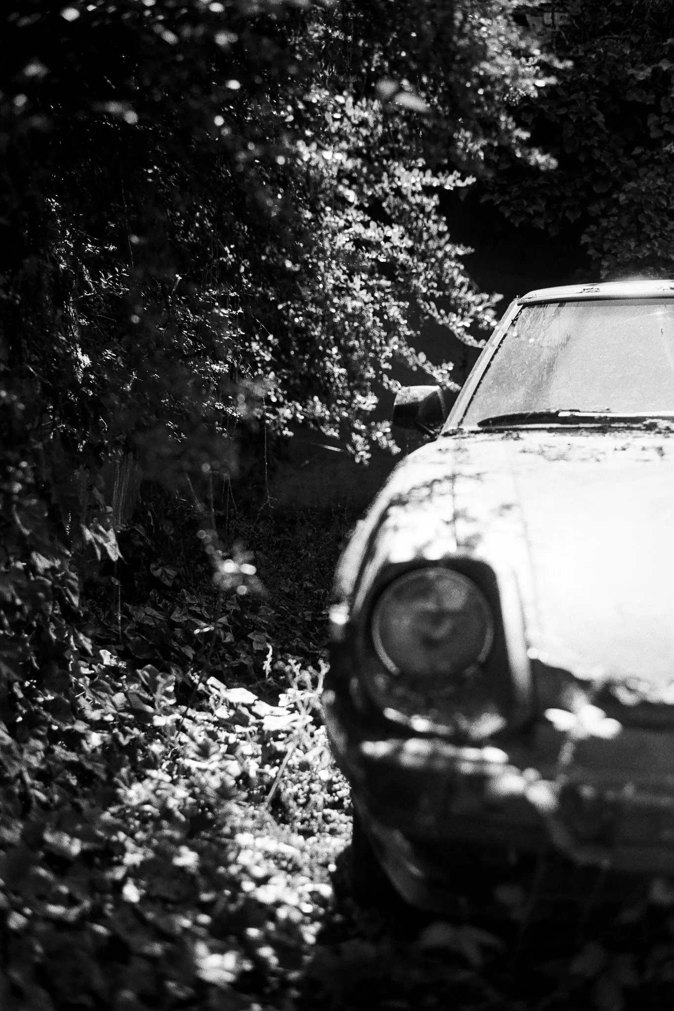 Cuthbert, Jack 1711-13_00001713_000017130023.jpg