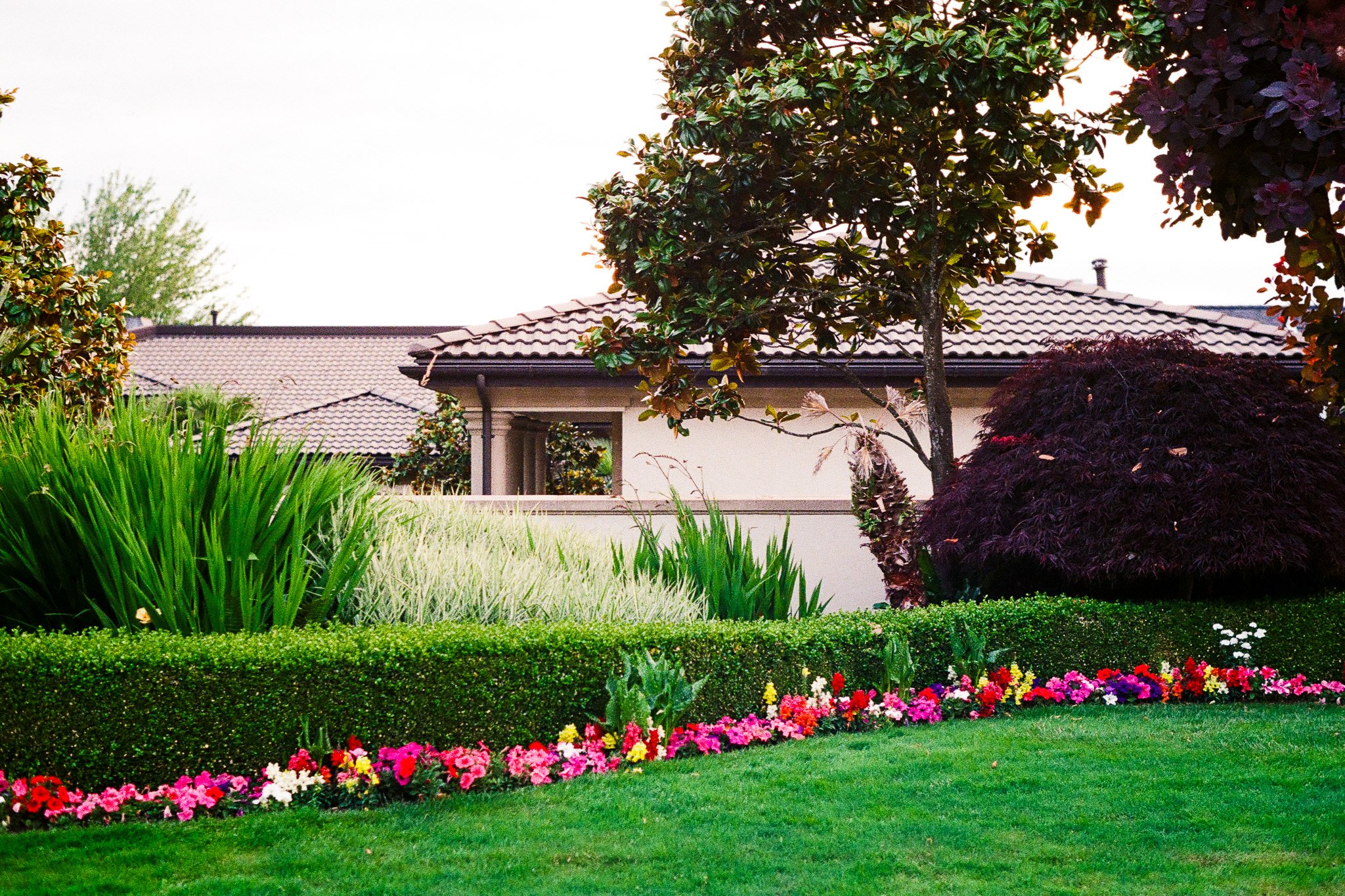 Cuthbert, Jack 9522-27_00009524_000095240029.jpg