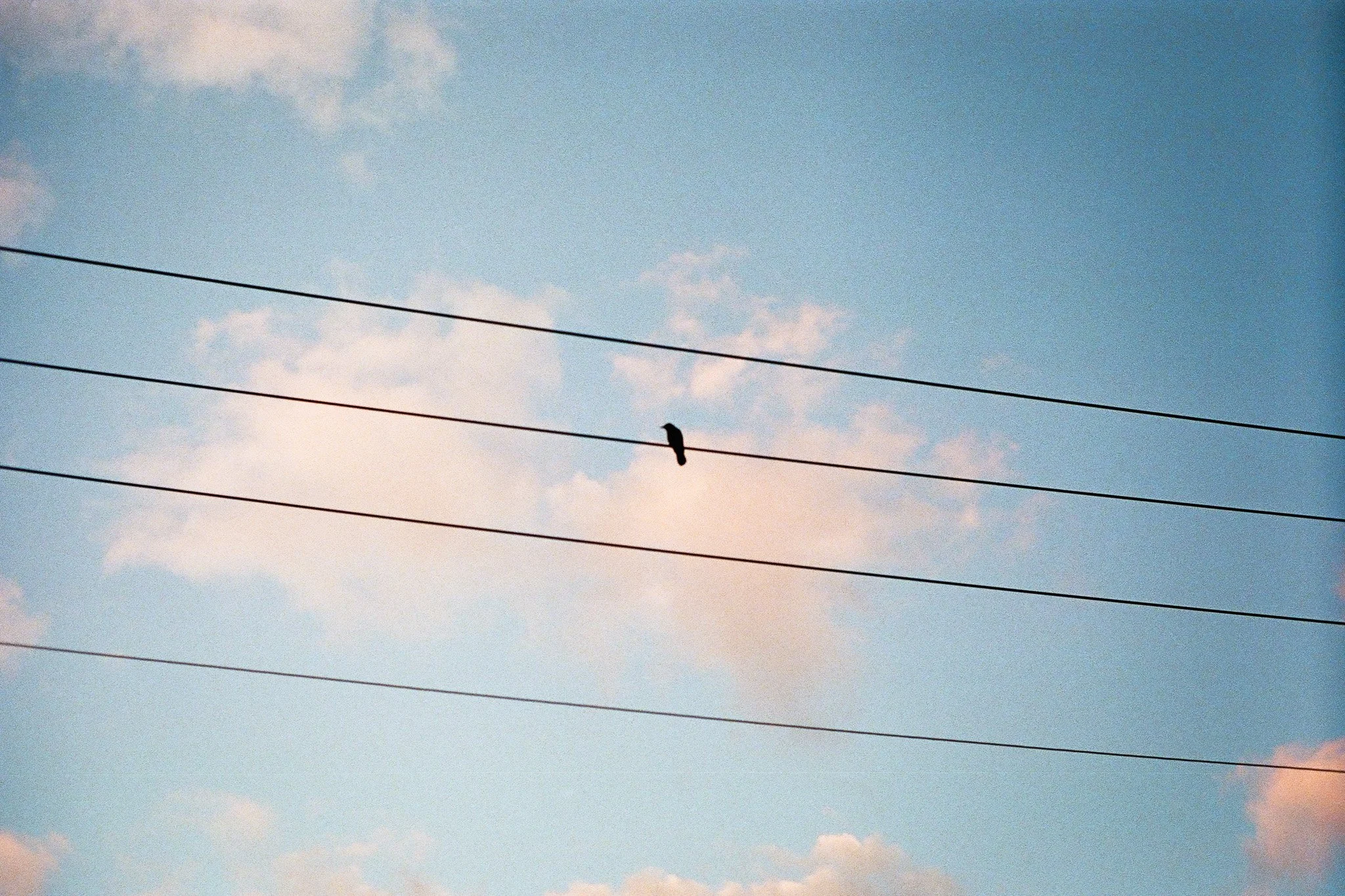 Cuthbert, Jack 9522-27_00009524_000095240027.jpg