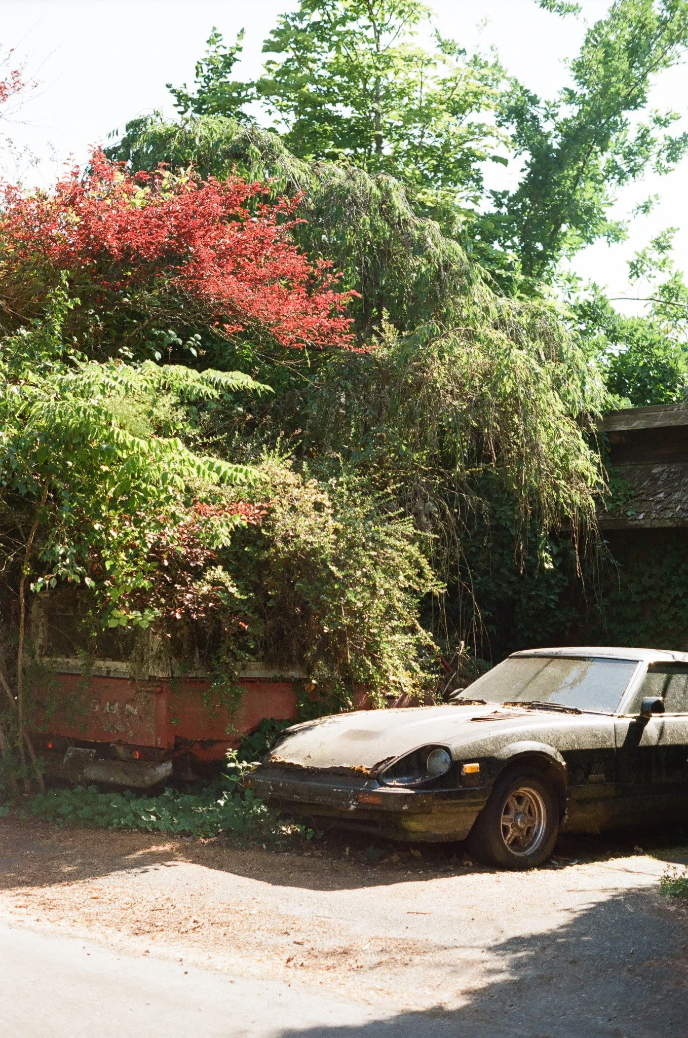 Cuthbert, Jack 1711-13_00001712_000017120036.jpg