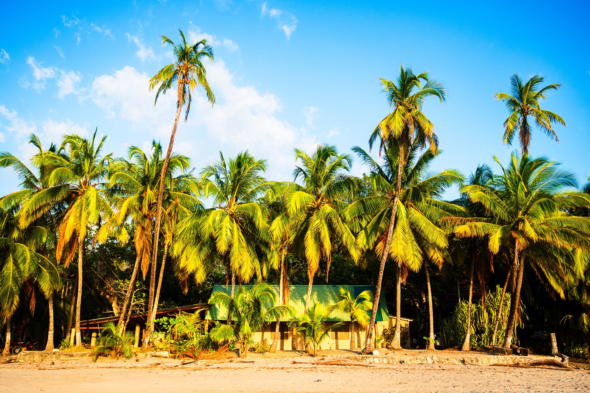 Paradise