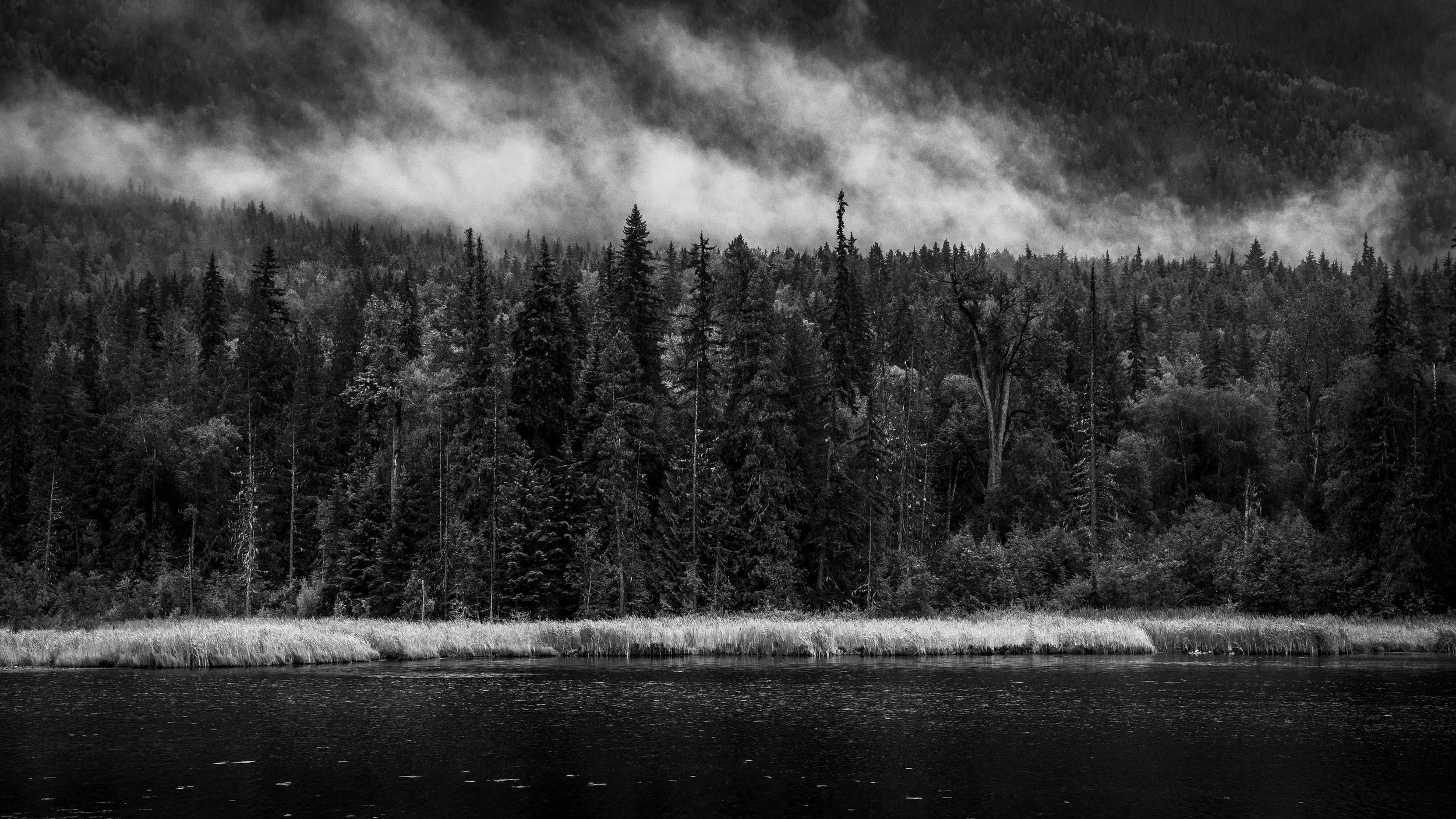 Morning Fog