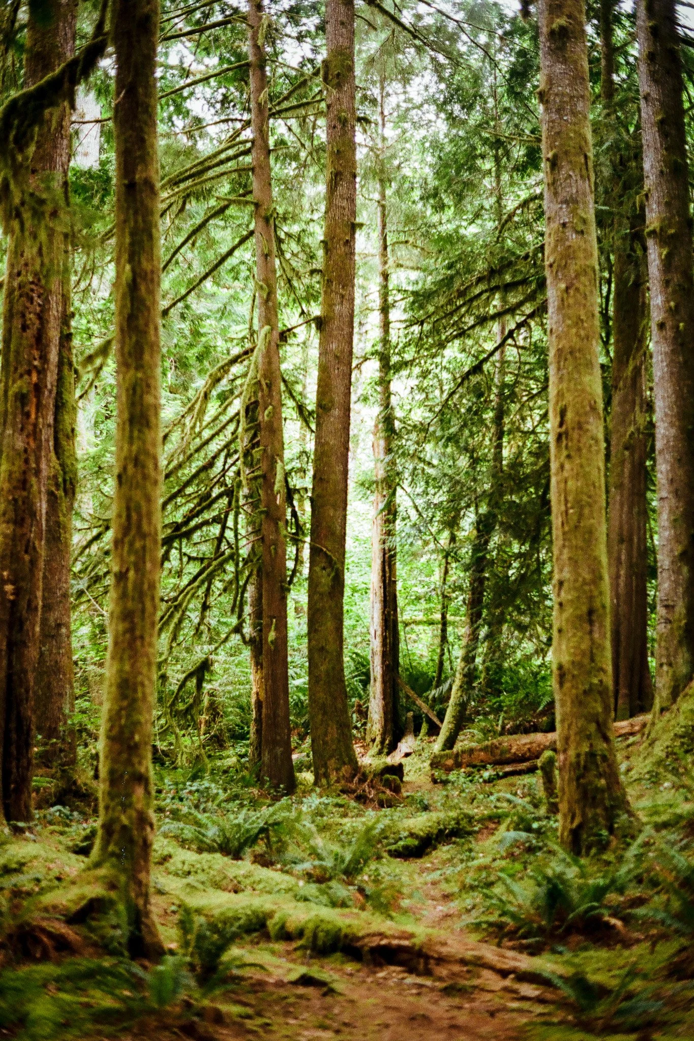 Cuthbert, Jack 1711-13_00001712_000017120005.jpg