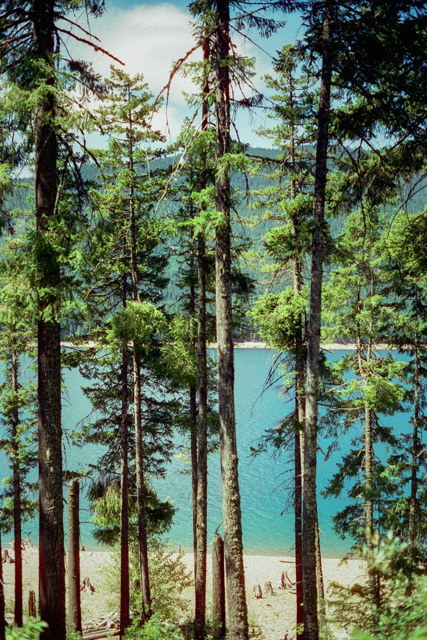 Cuthbert, Jack 1711-13_00001711_000017110015.jpg