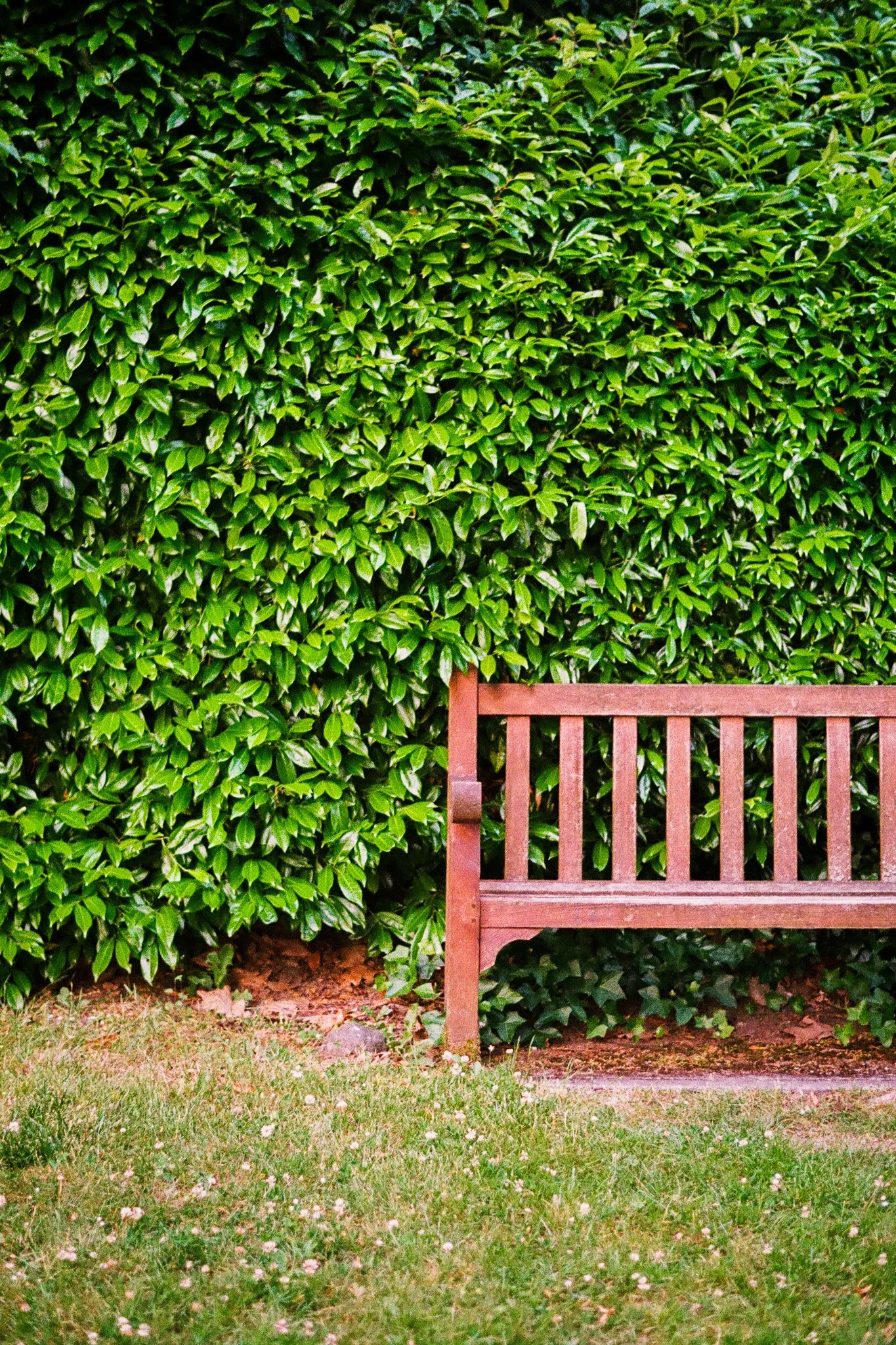 Cuthbert, Jack 9522-27_00009524_000095240032.jpg