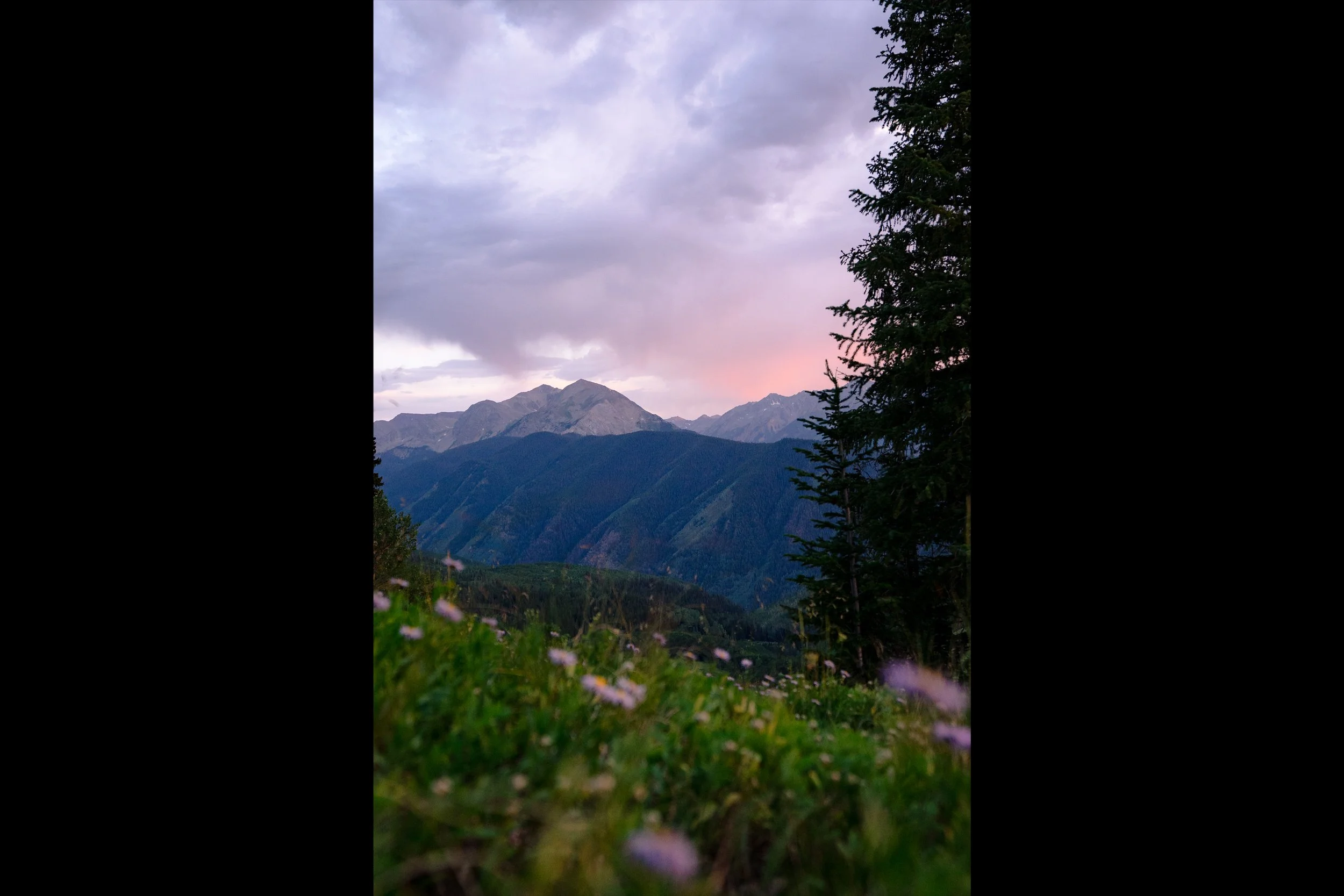 Wildflower Happy Hour #2
