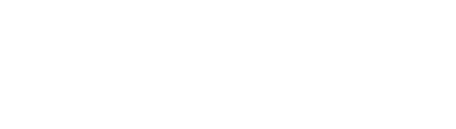Prevail Digital