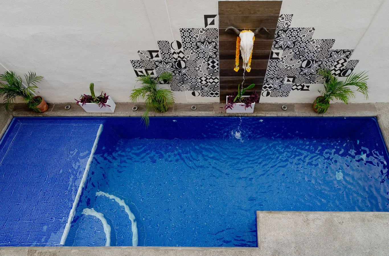 Pool4.jpg