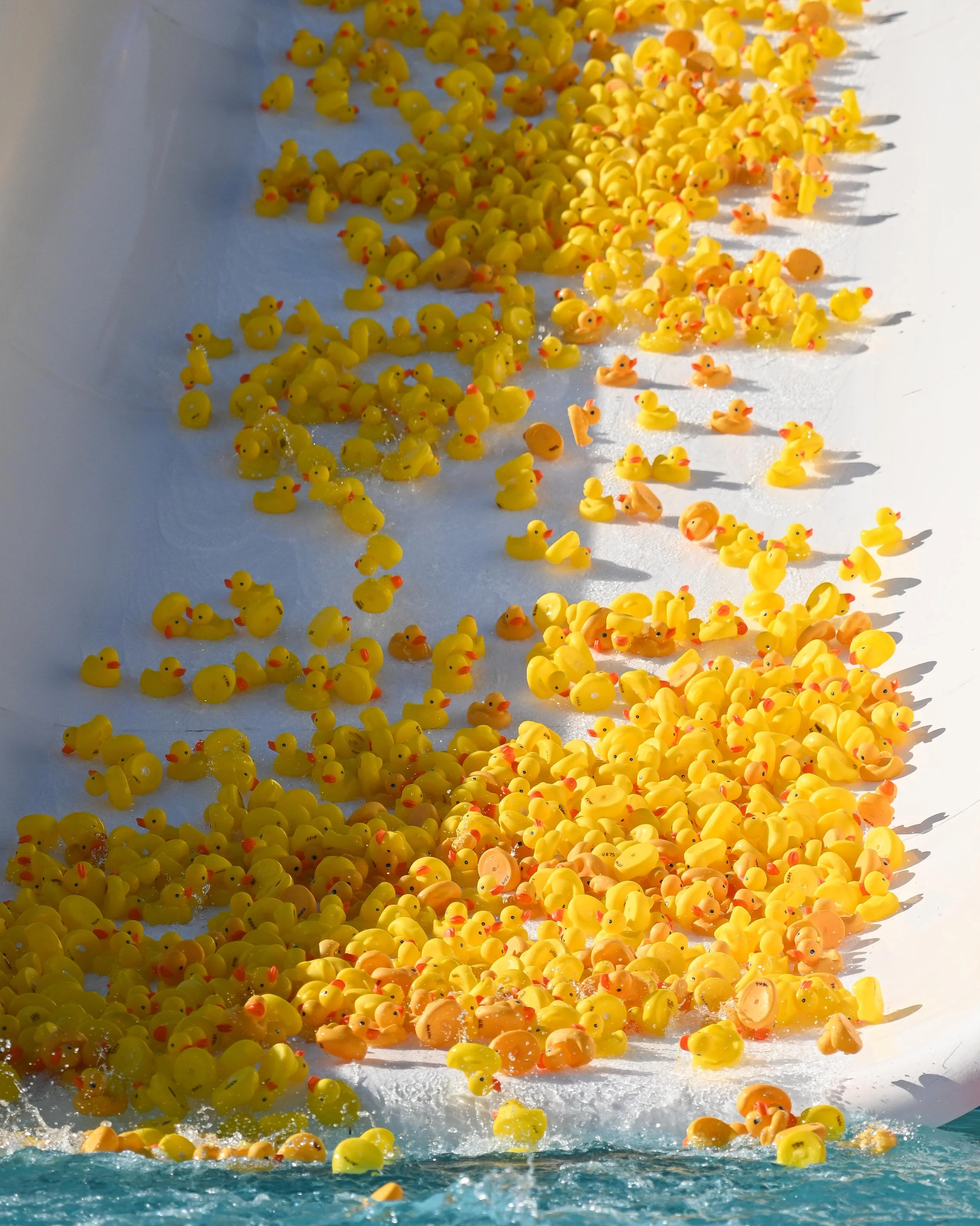 0807-Ducks-Moore (1 of 16).jpg