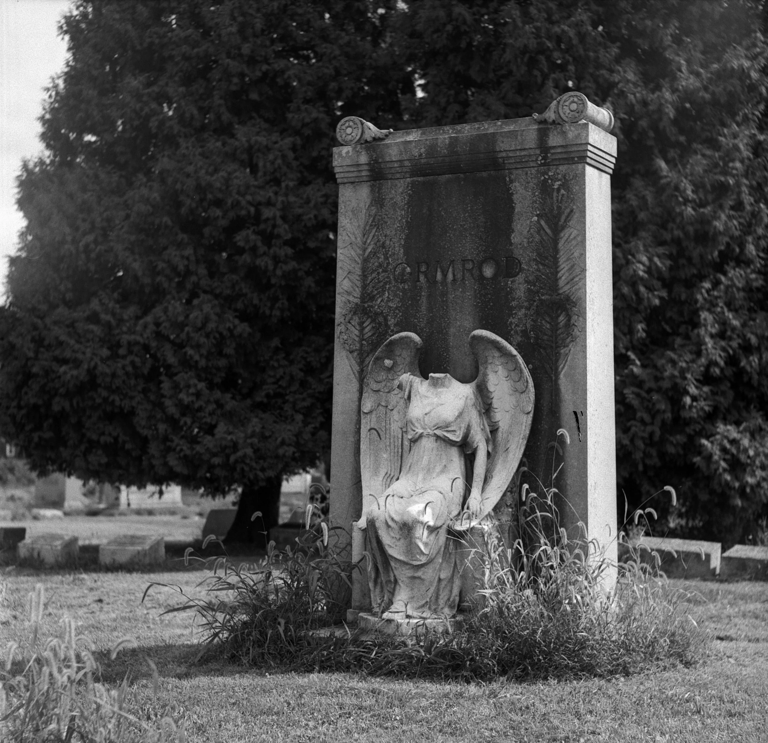 Mamiya C220 Ilford FP4 09062024_7.jpg