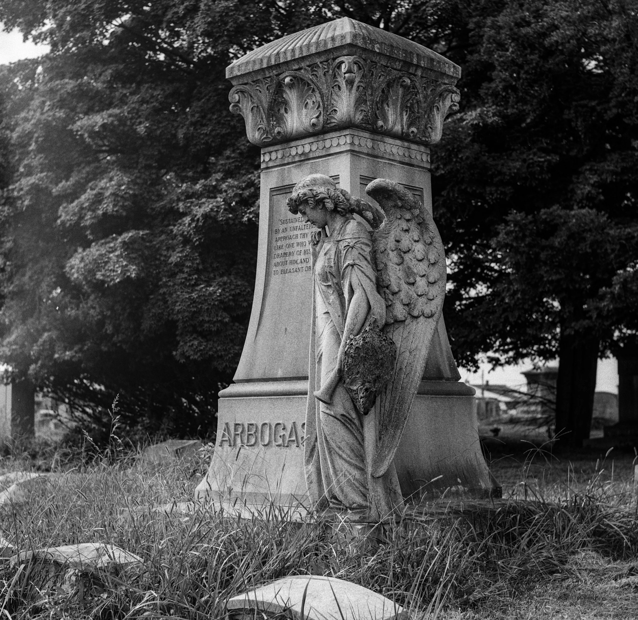 Mamiya C220 Ilford FP4 09062024_8.jpg
