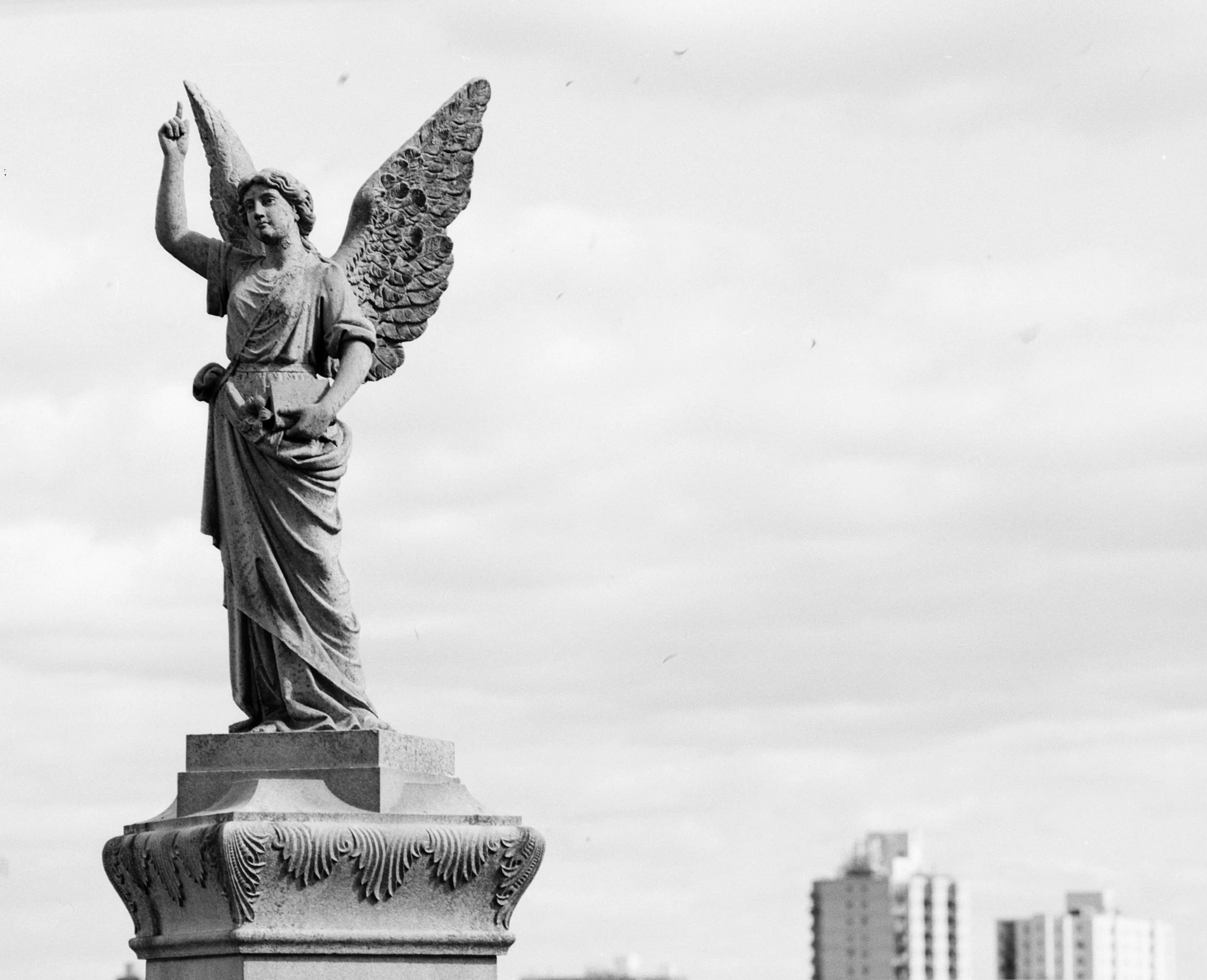 Mamiya RB67 Ilford Delta Pro 100 10142024_1.jpg