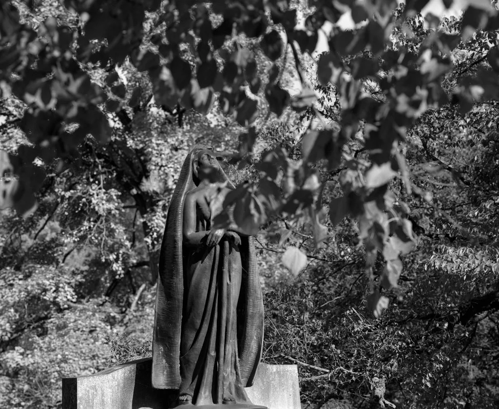 Mamiya RB67 Ilford Delta Pro 100 10142024_20.jpg