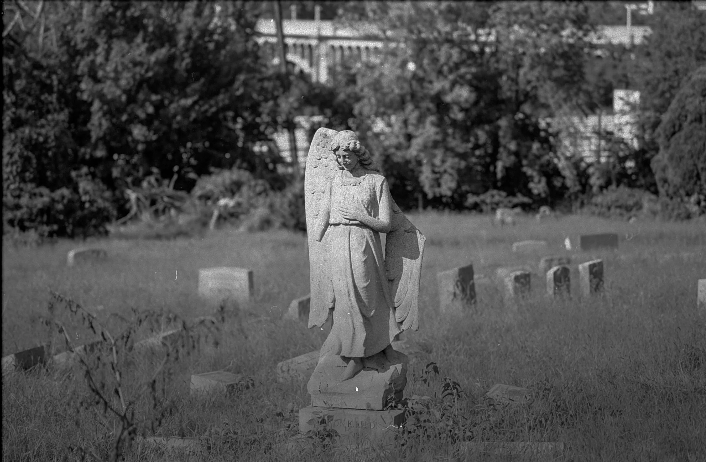 Canon F-1 Tasma NK2 Fairview Cem 09032024_10.jpg